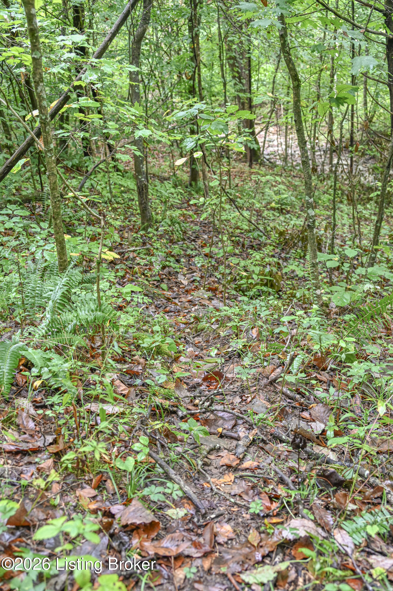 585 Tucker Higgs Rd Property Photo 13