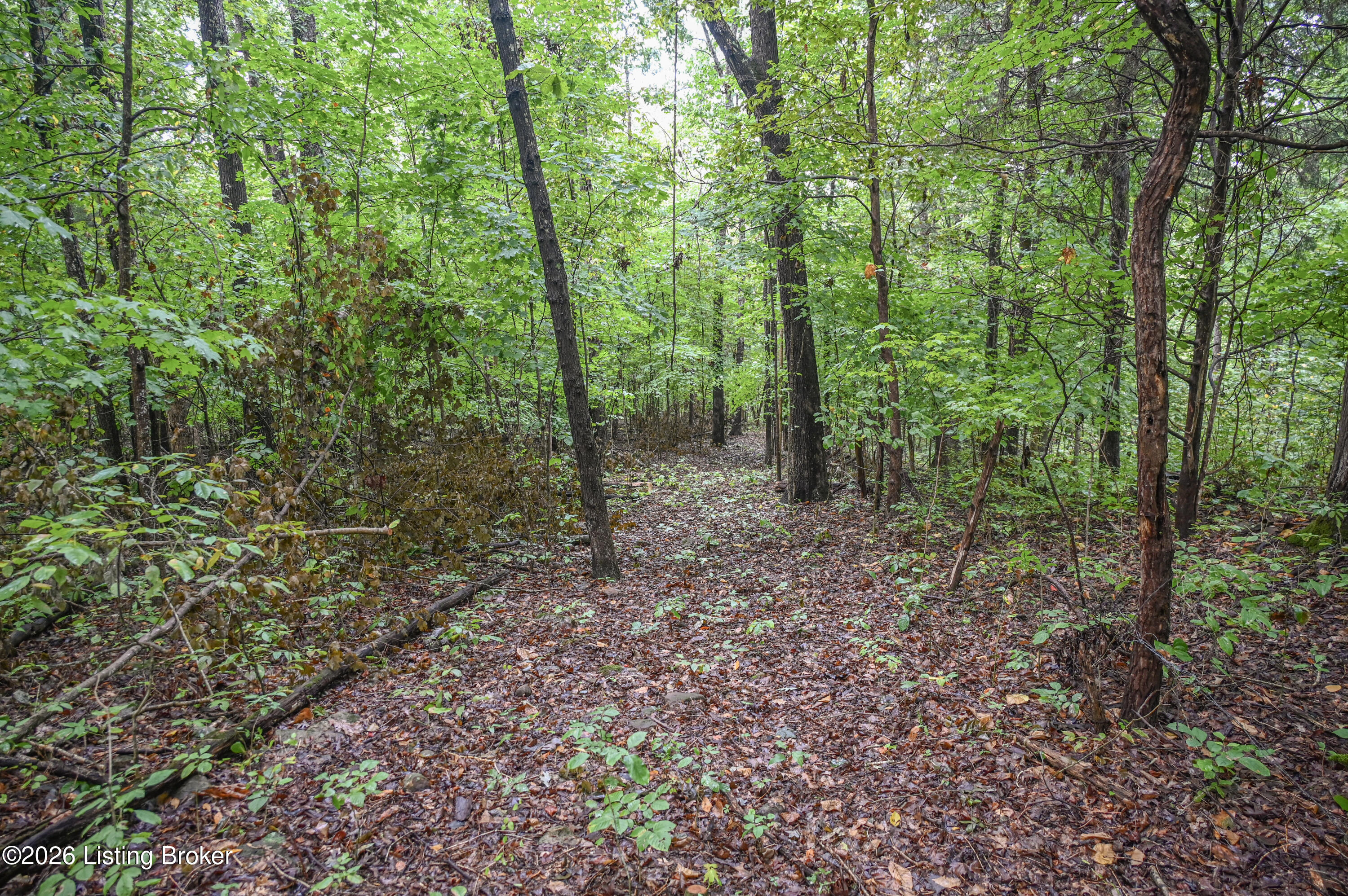 585 Tucker Higgs Rd Property Photo 14