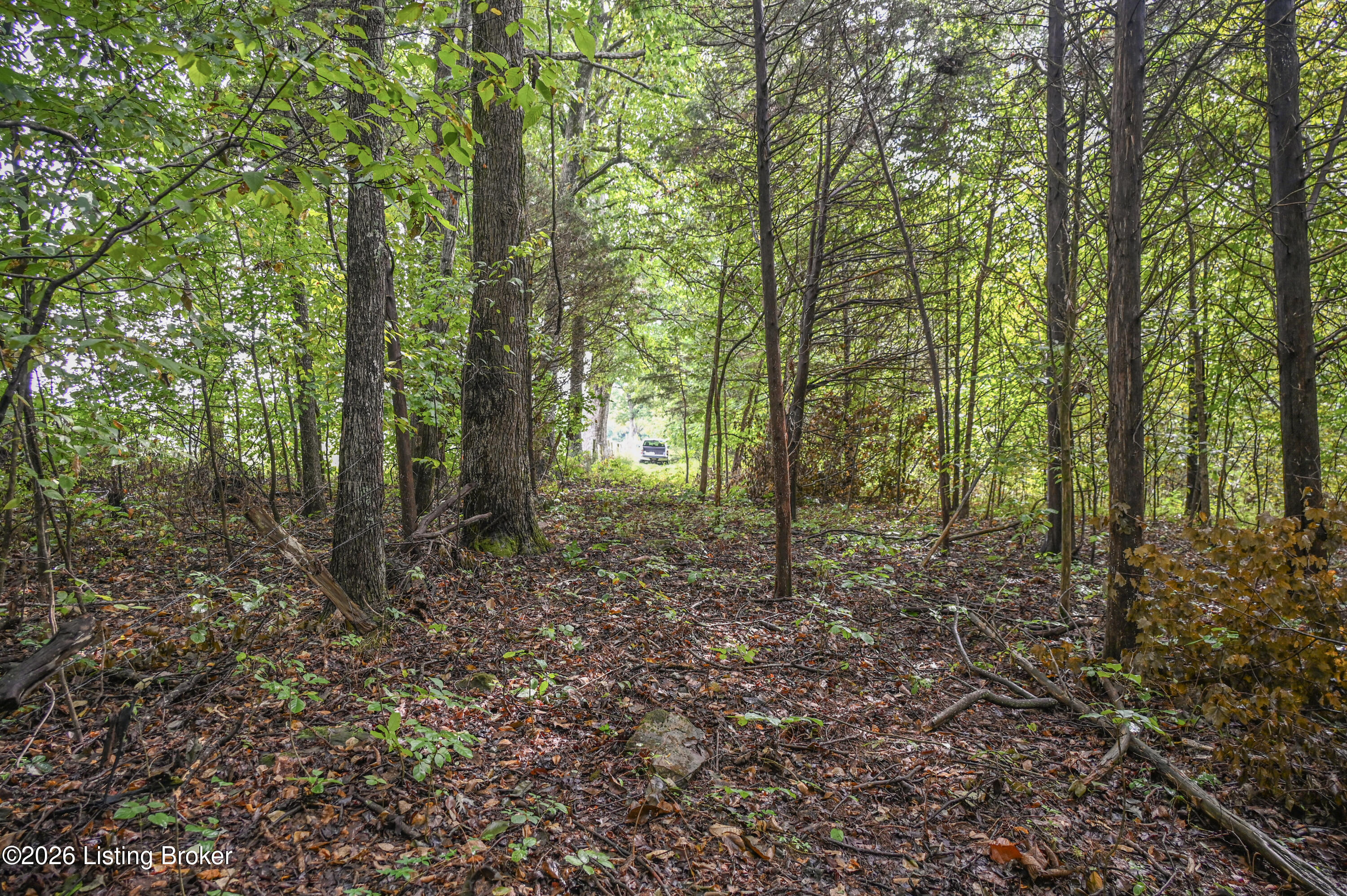 585 Tucker Higgs Rd Property Photo 15