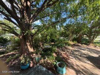 8515 Image Way Property Photo 3