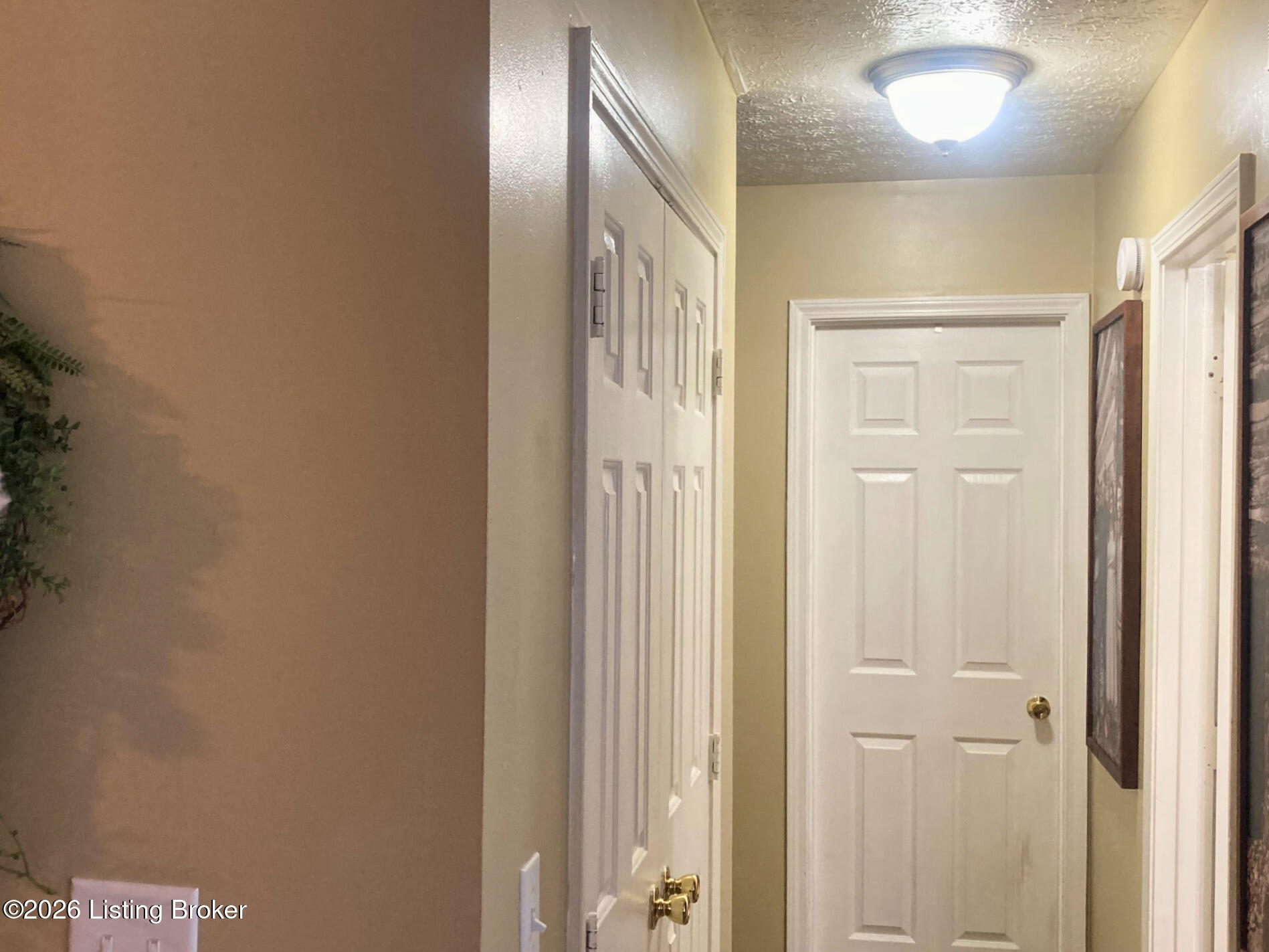 509a Maxie Ct Property Photo 8