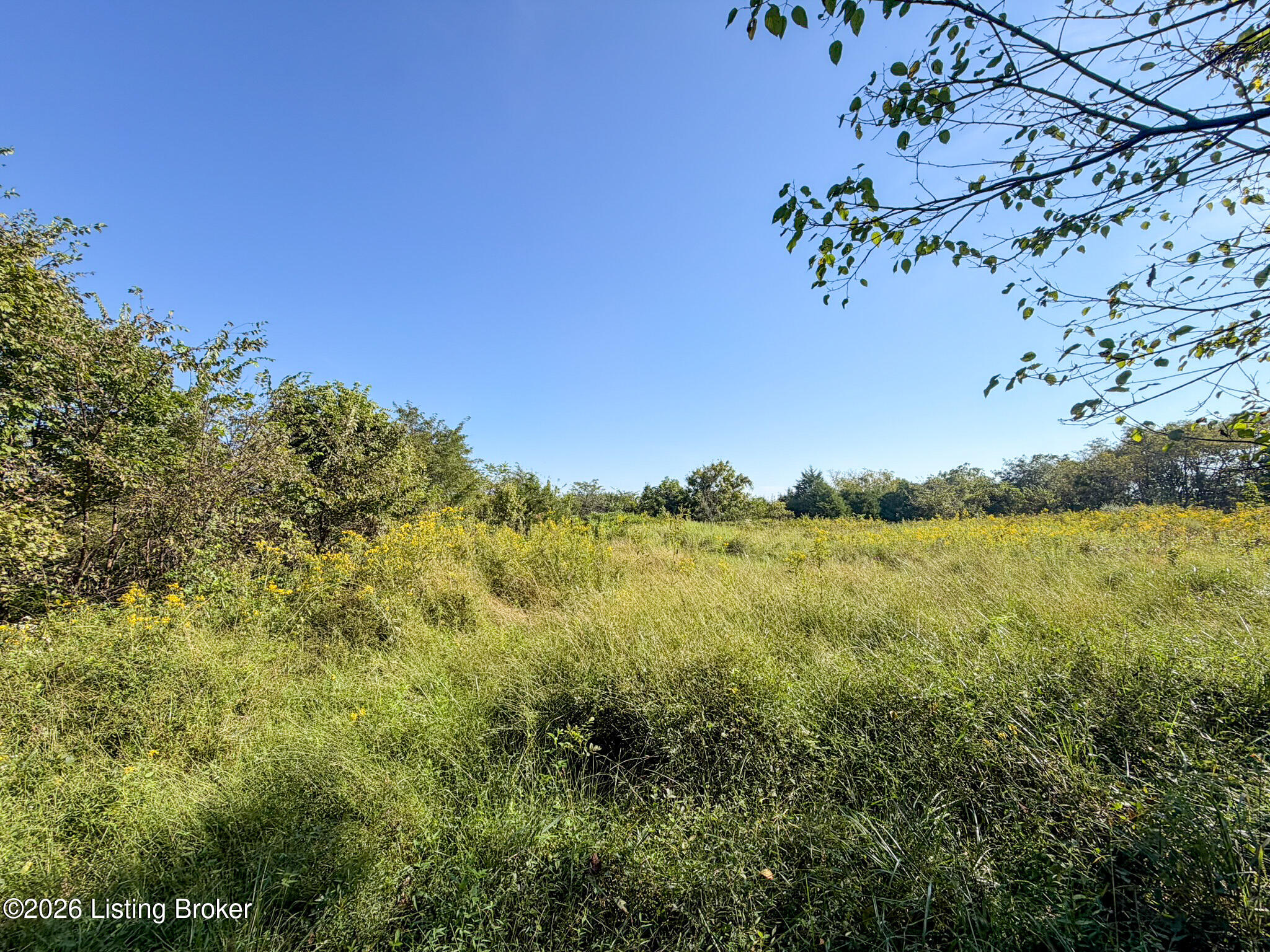 1900 Ritter Ln Property Photo 9