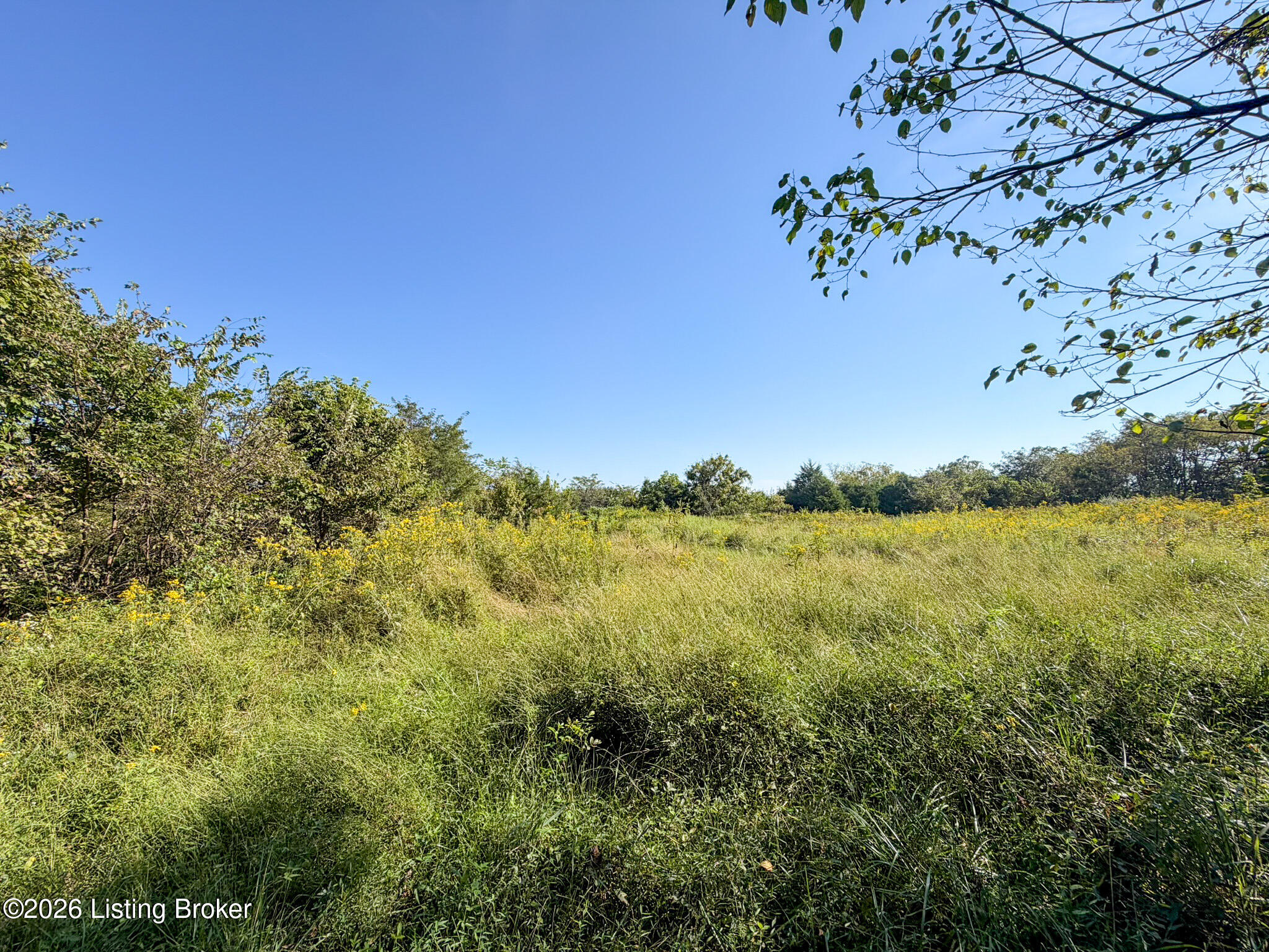 1900 Ritter Ln Property Photo 10