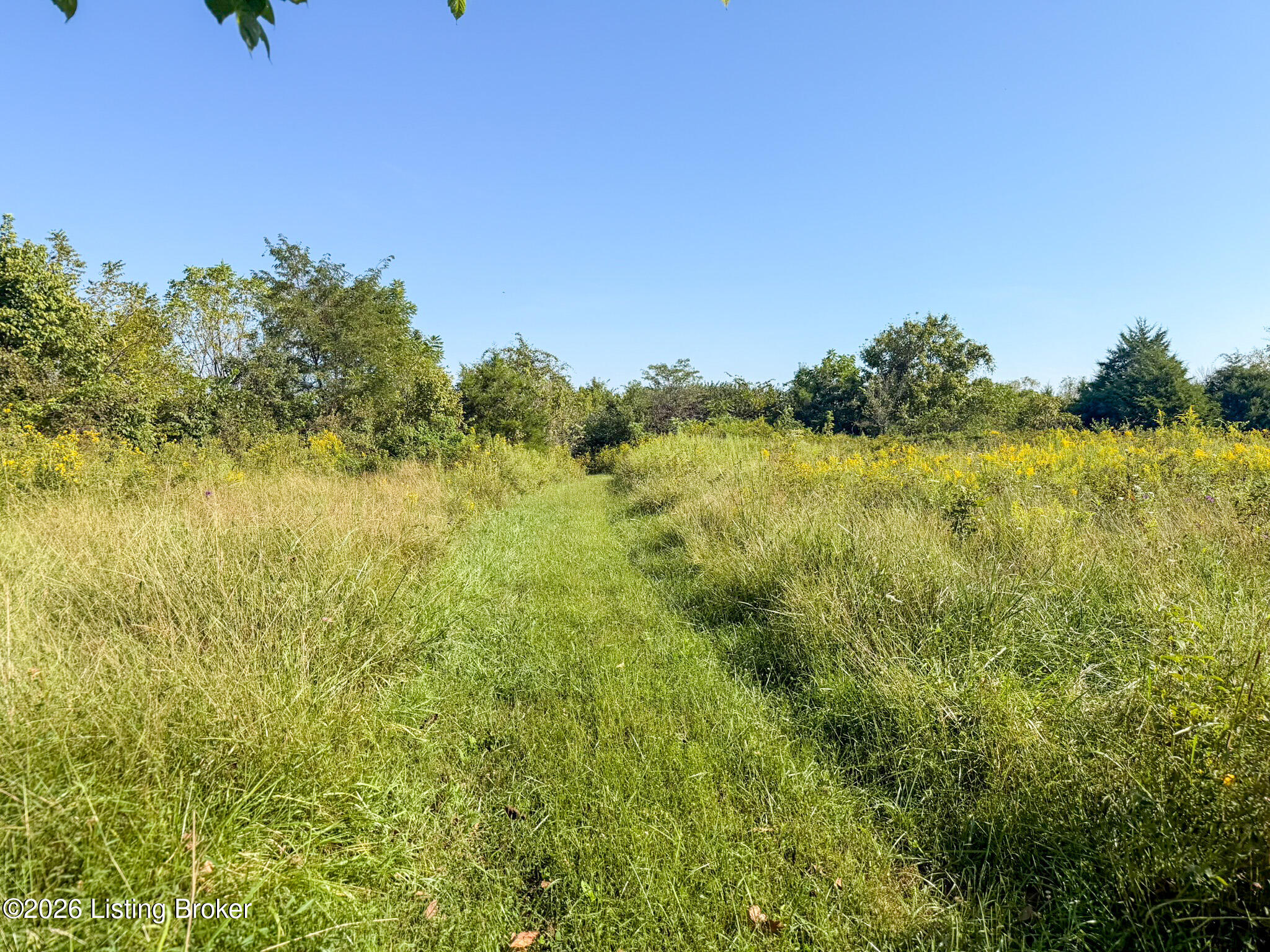 1900 Ritter Ln Property Photo 12