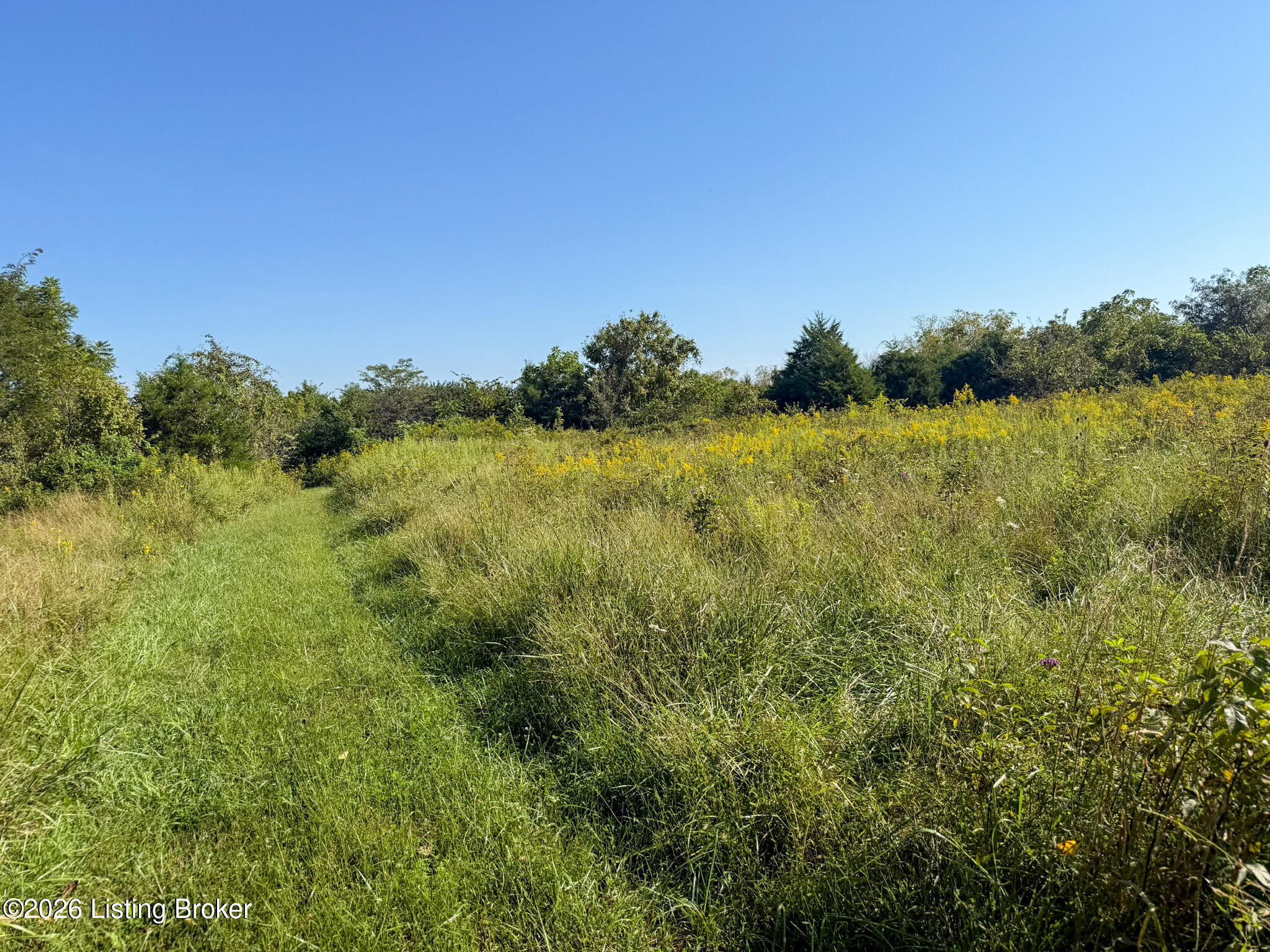1900 Ritter Ln Property Photo 13