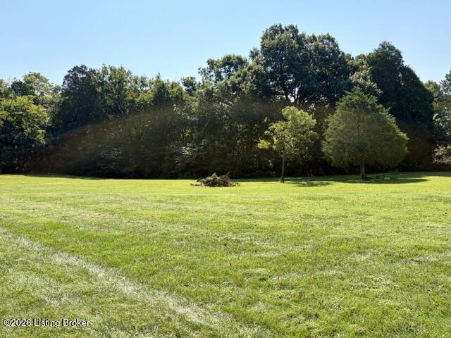 270 Cedar Falls Dr Property Photo 55