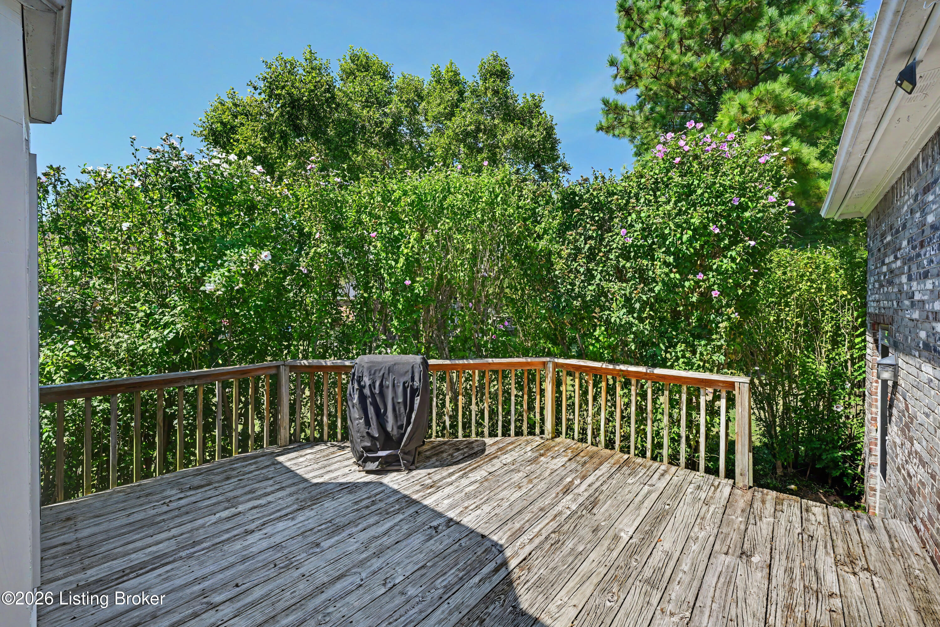 8911 Acushnet Rd Property Photo 32