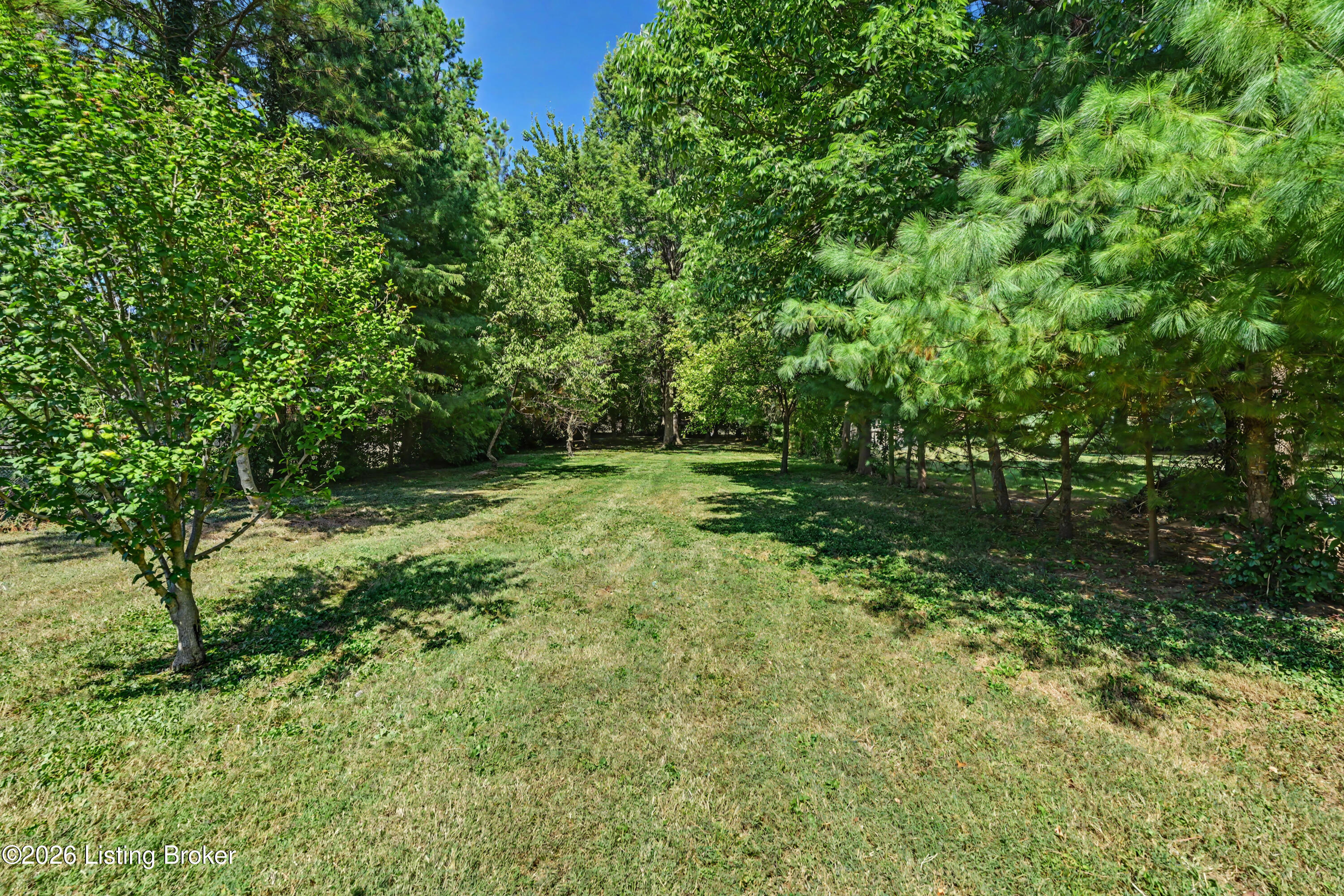 8911 Acushnet Rd Property Photo 34