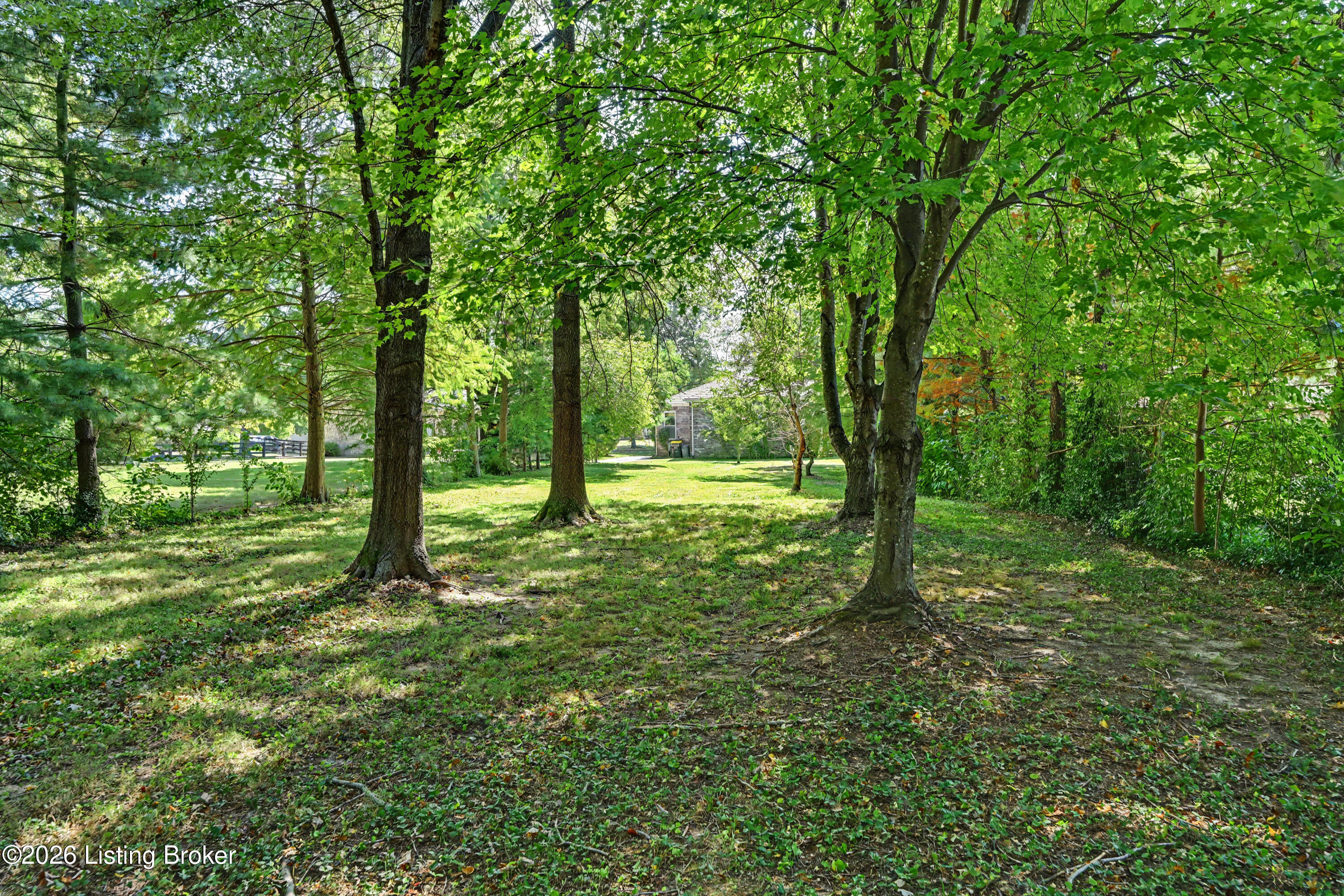 8911 Acushnet Rd Property Photo 35