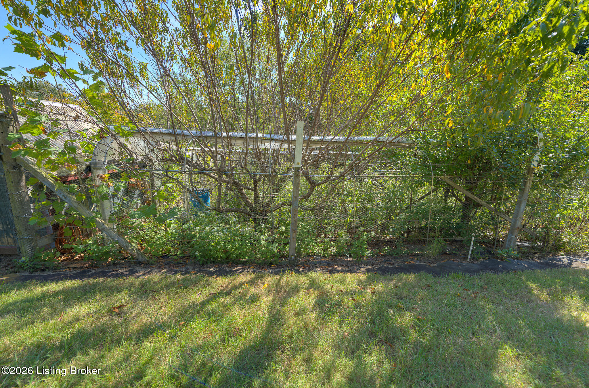 203 Ridge Rd Property Photo 58