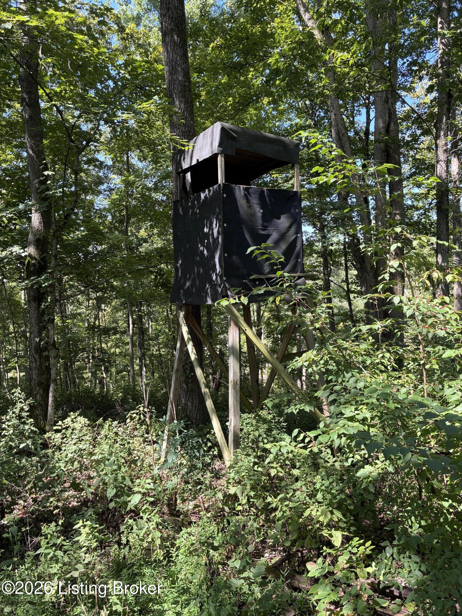 56 Clay Lick Rd Property Photo 11