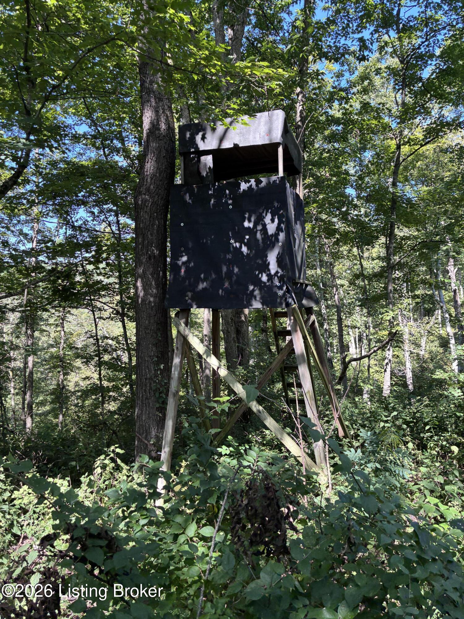 56 Clay Lick Rd Property Photo 12