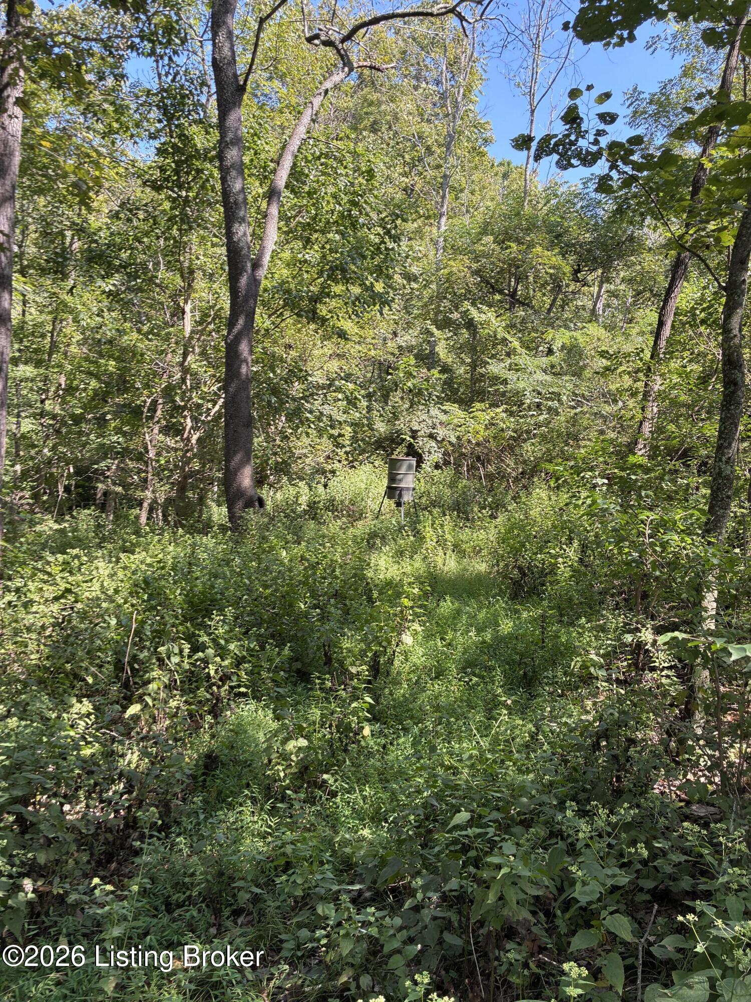 56 Clay Lick Rd Property Photo 13