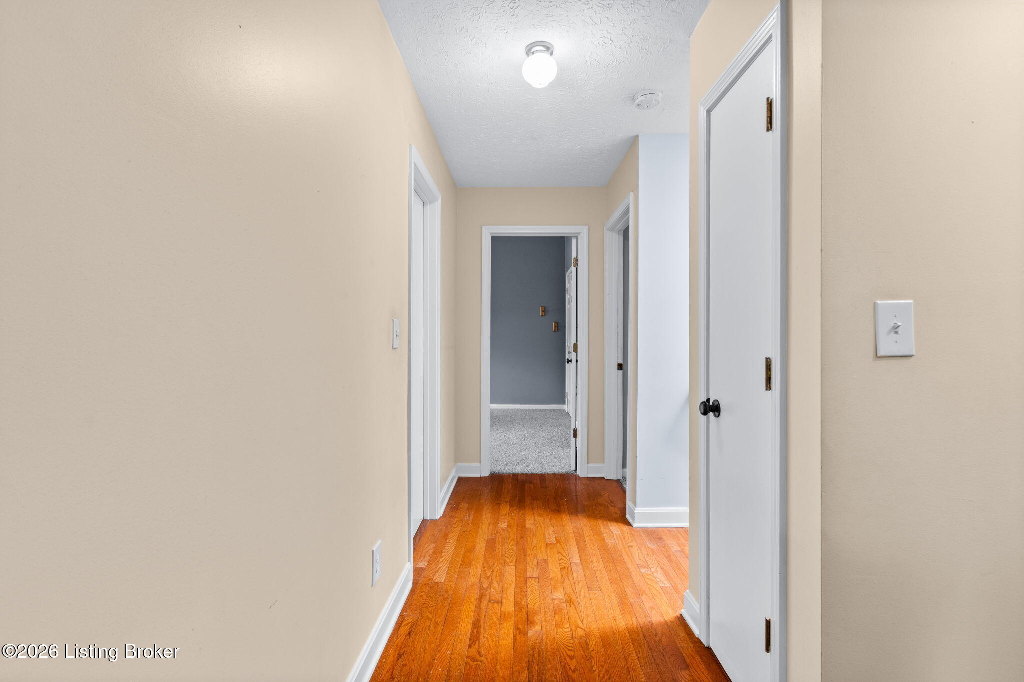 3505 Swainsboro Ct Property Photo 43