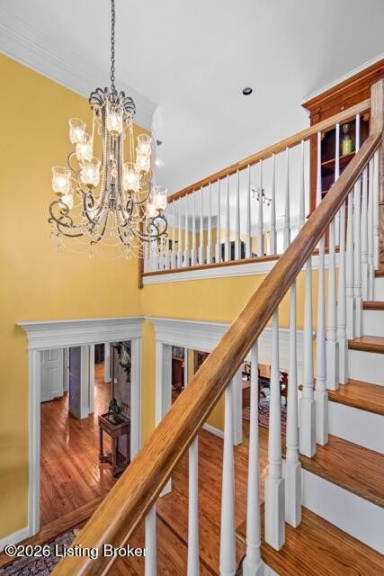 107 My Kentucky Rose Cir Property Photo 61