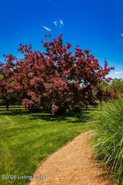 107 My Kentucky Rose Cir Property Photo 114