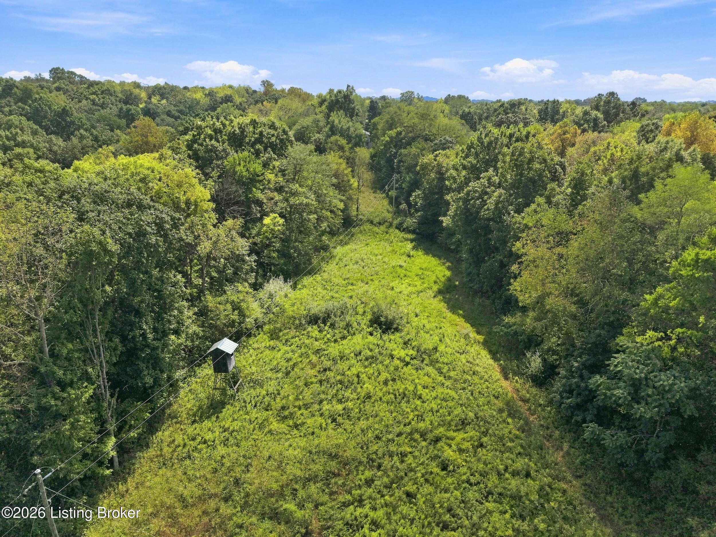 2801 Pattons Creek Rd Property Photo 114
