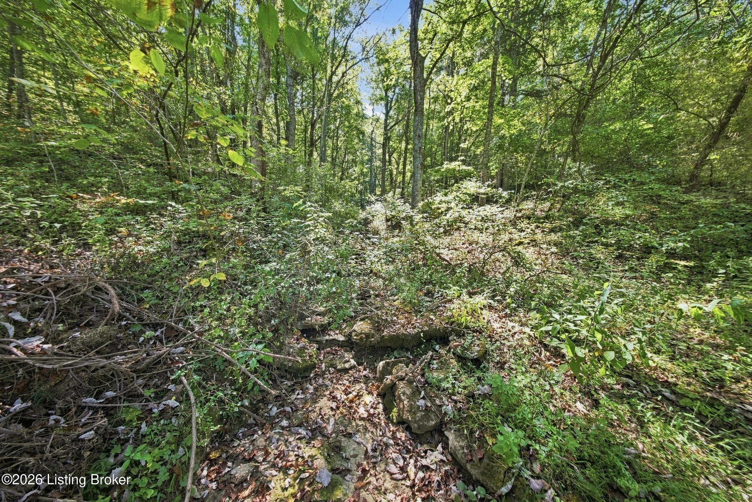 2801 Pattons Creek Rd Property Photo 115