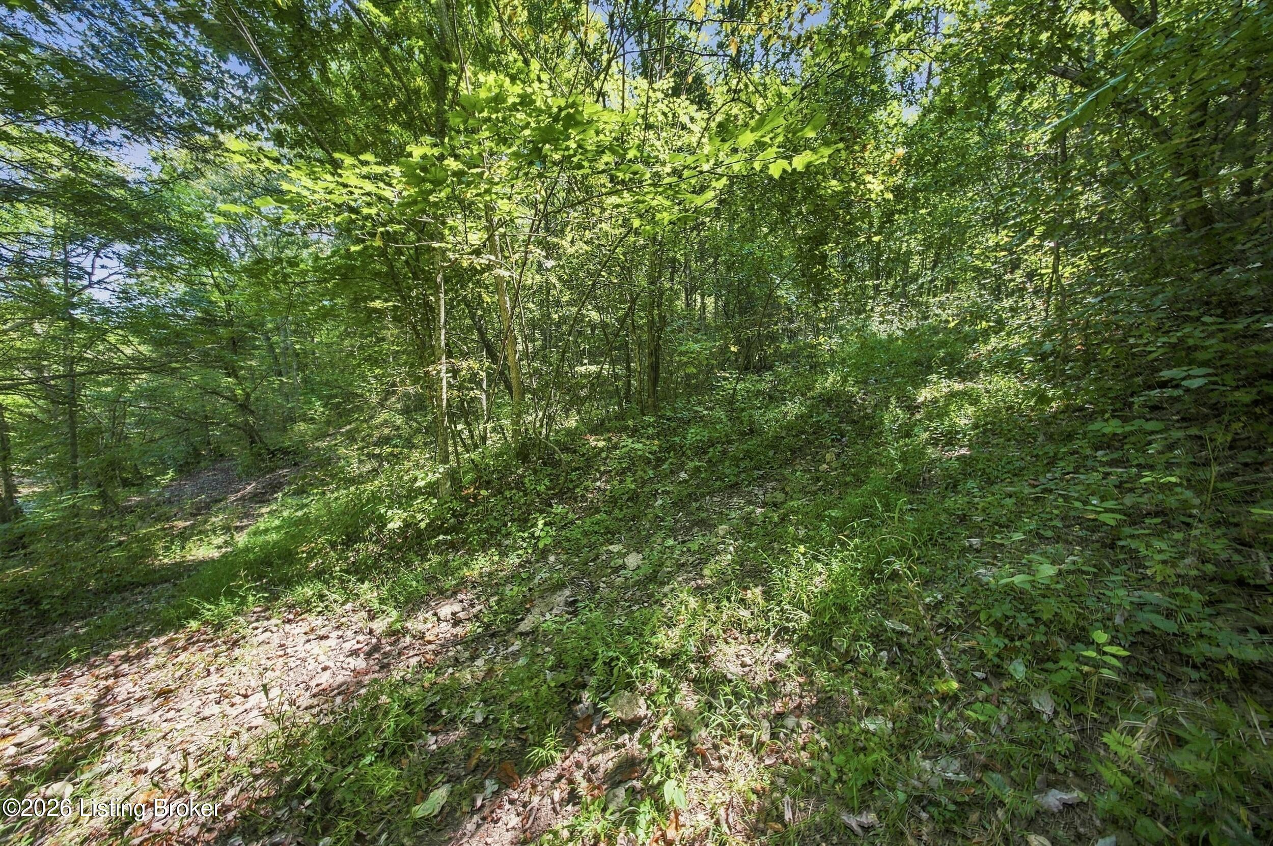 2801 Pattons Creek Rd Property Photo 117