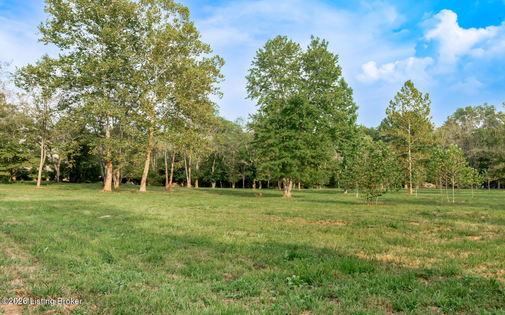 3809 Hambletonian Rd Property Photo 6