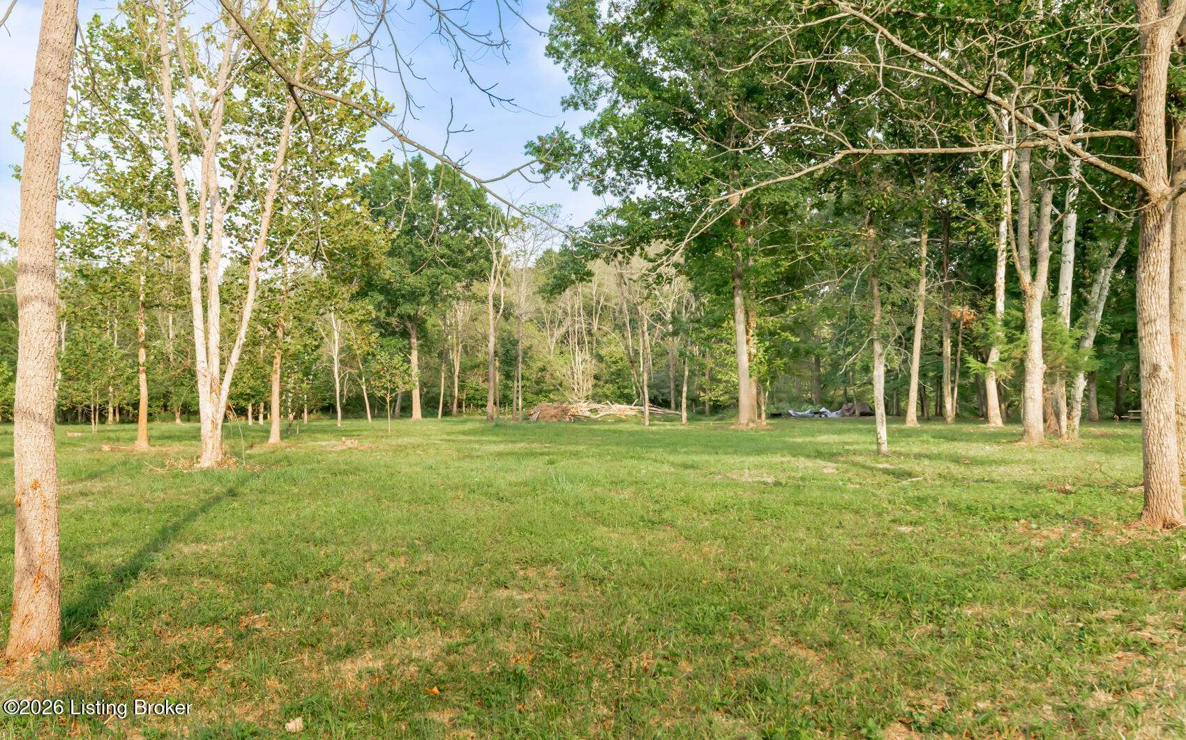 3809 Hambletonian Rd Property Photo 9