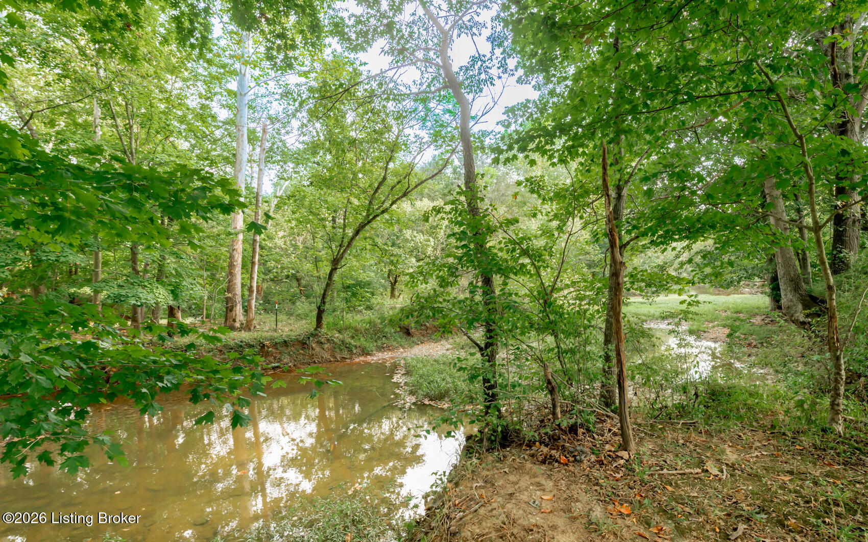 3809 Hambletonian Rd Property Photo 11
