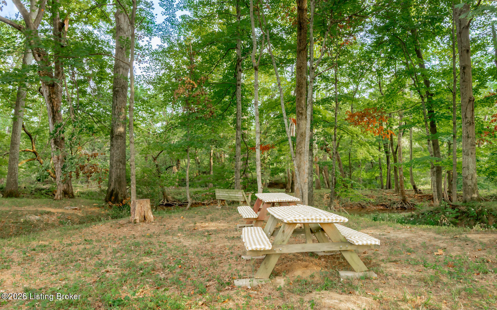 3809 Hambletonian Rd Property Photo 17
