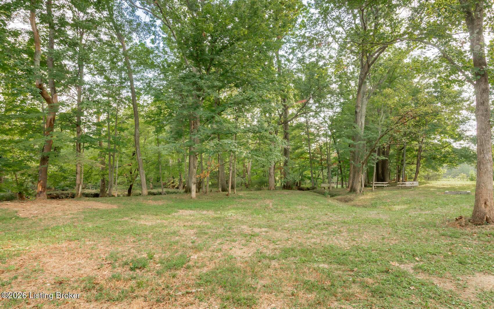 3809 Hambletonian Rd Property Photo 19