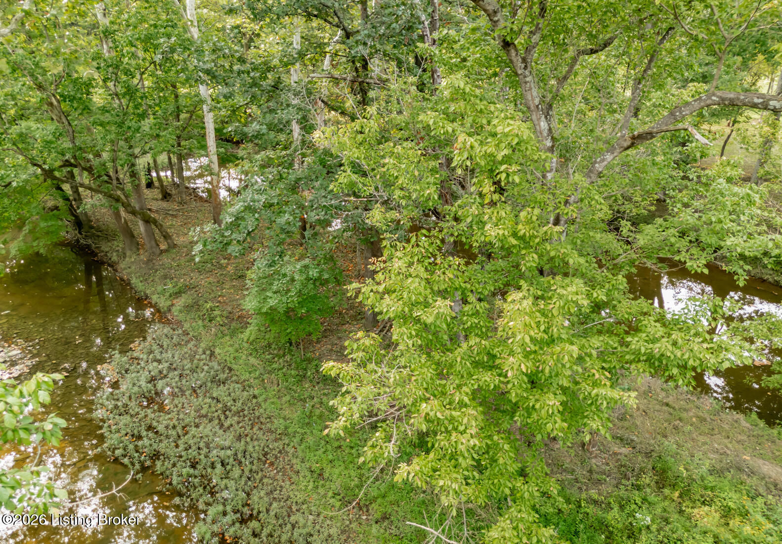 3809 Hambletonian Rd Property Photo 26