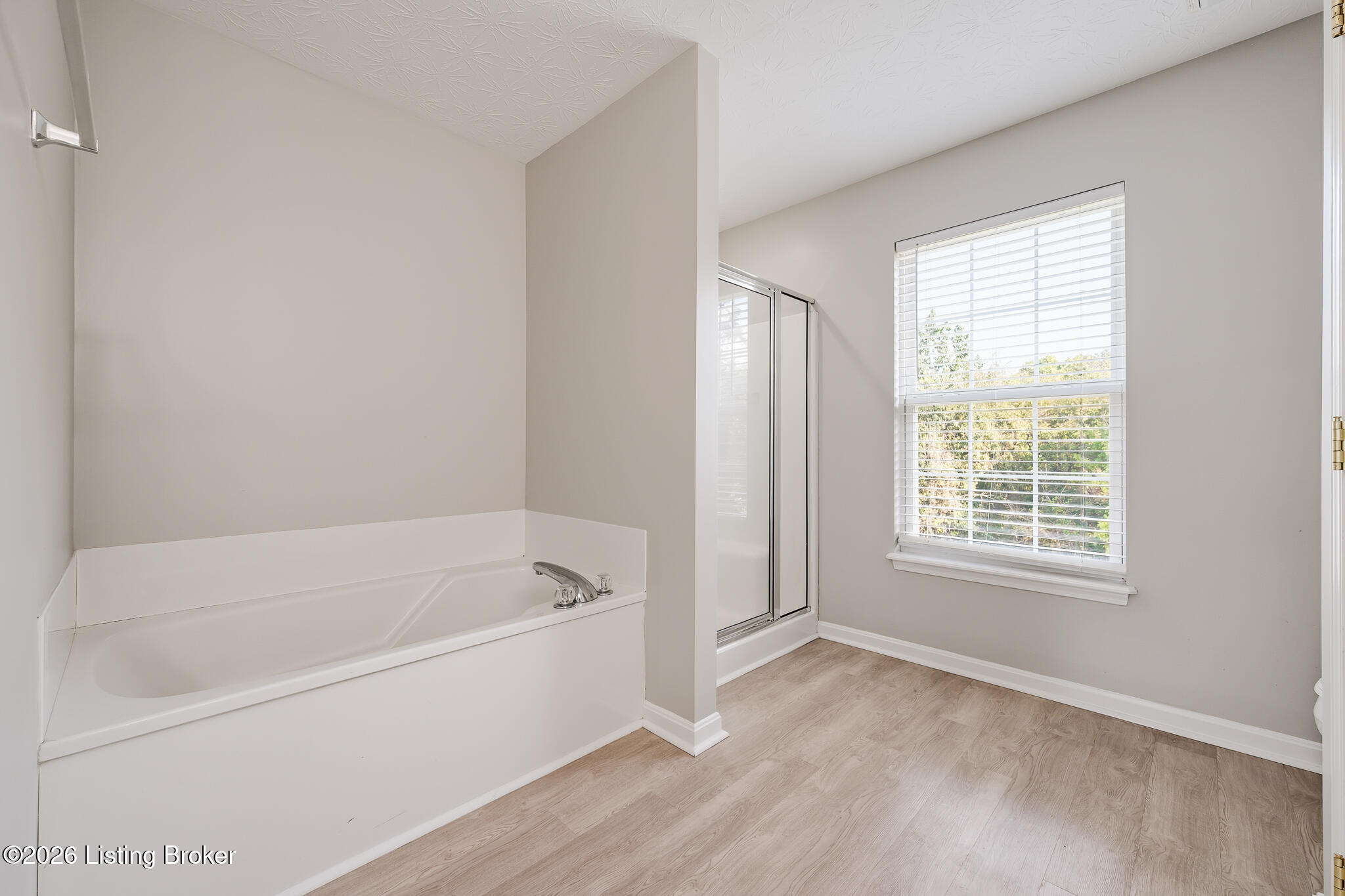 17834 Birch Bend Cir Property Photo 22