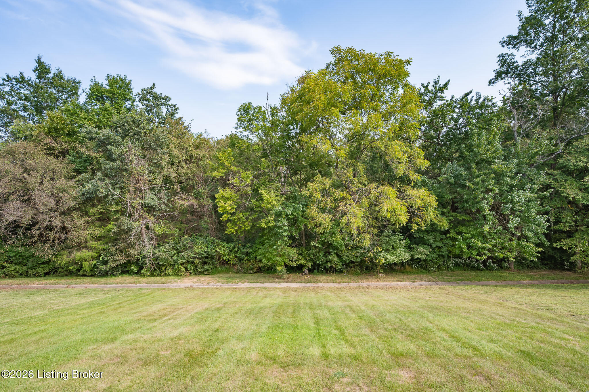 17834 Birch Bend Cir Property Photo 32