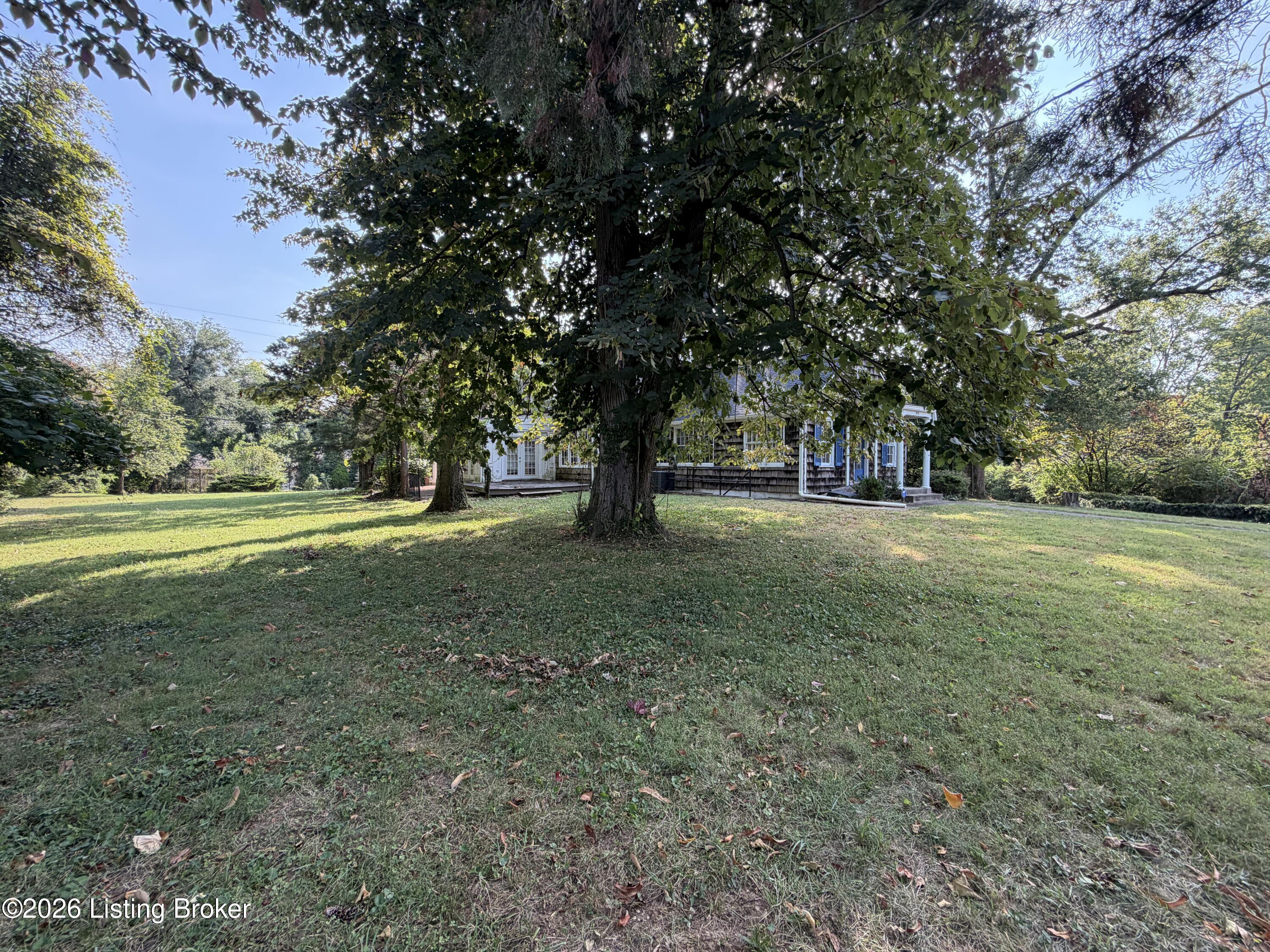 4101 Brownsboro Rd Property Photo 38
