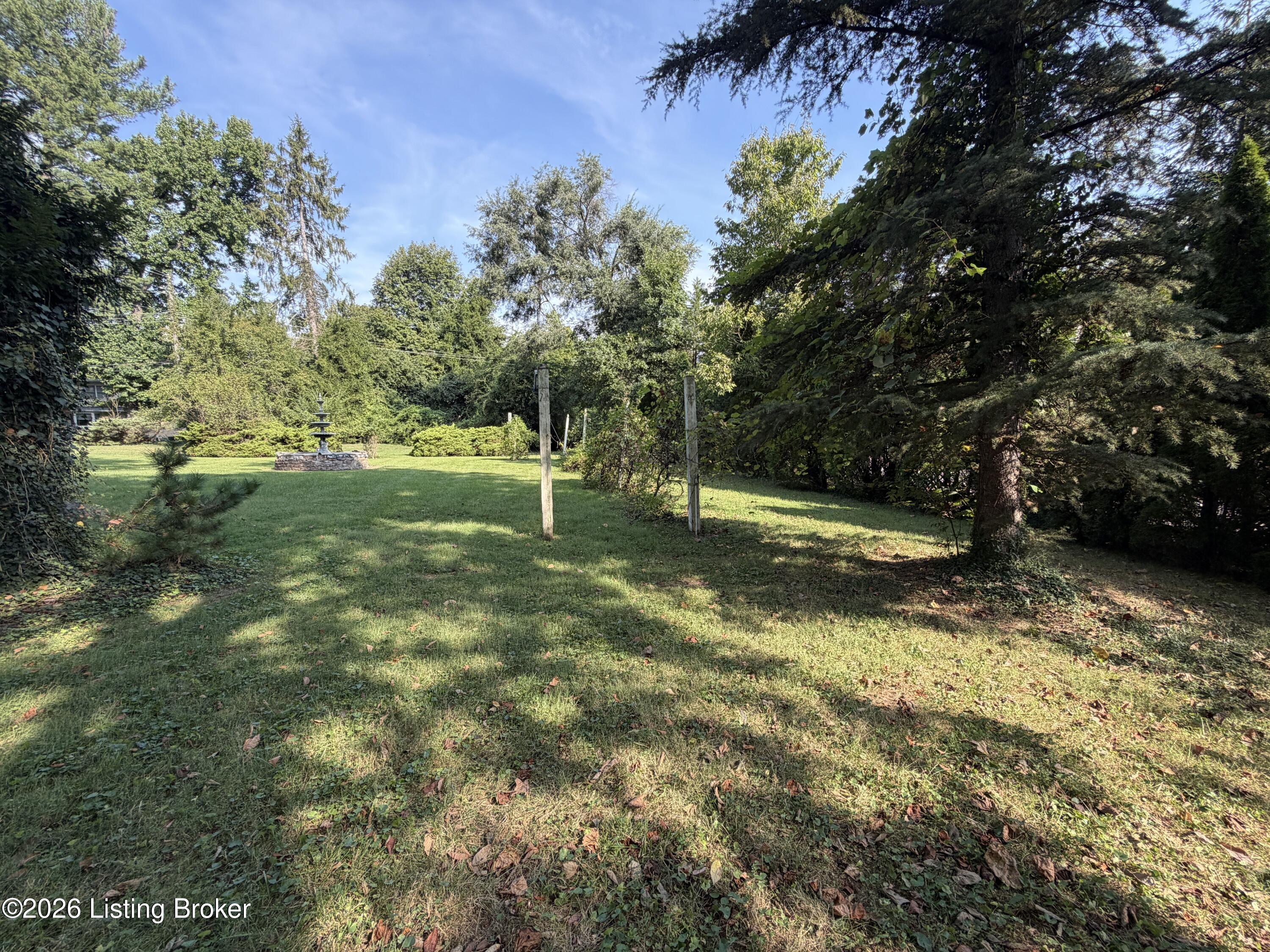 4101 Brownsboro Rd Property Photo 48