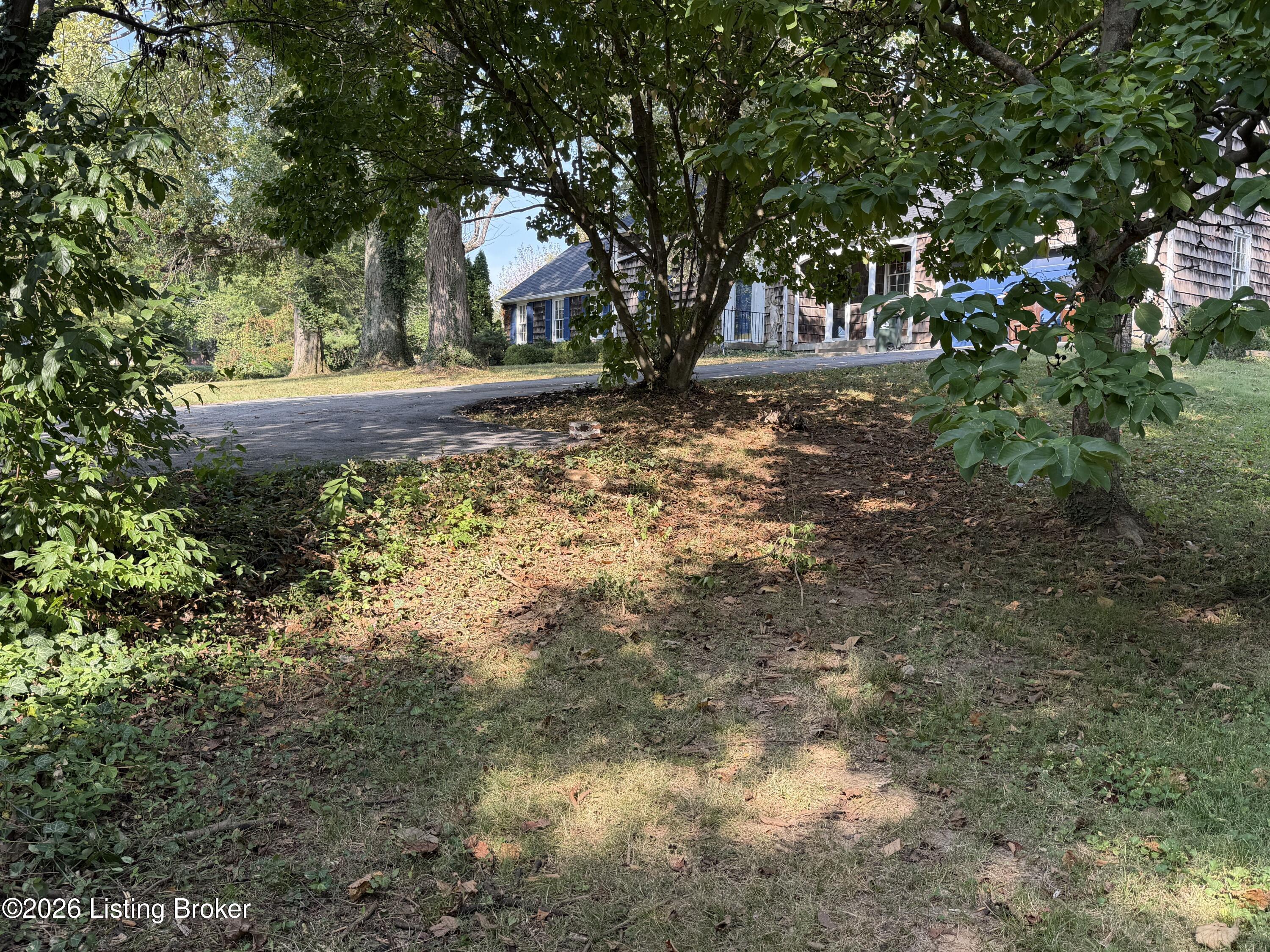 4101 Brownsboro Rd Property Photo 55