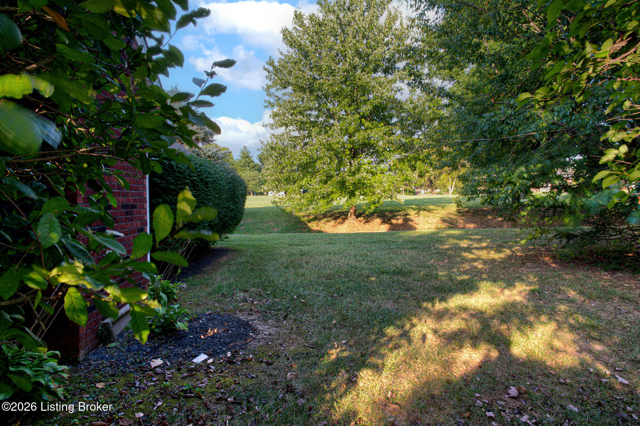 4434 Monarchos Dr Property Photo 25