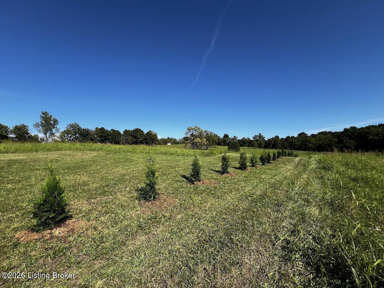 225 Donna Ave Property Photo 47