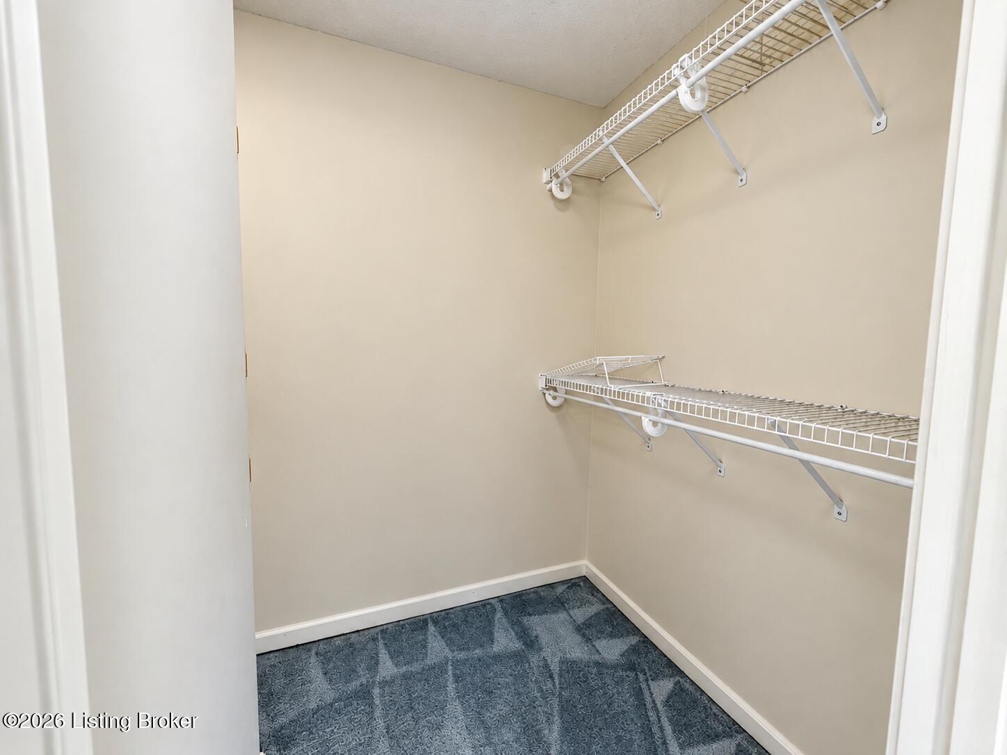 116 Branch Ct Property Photo 14