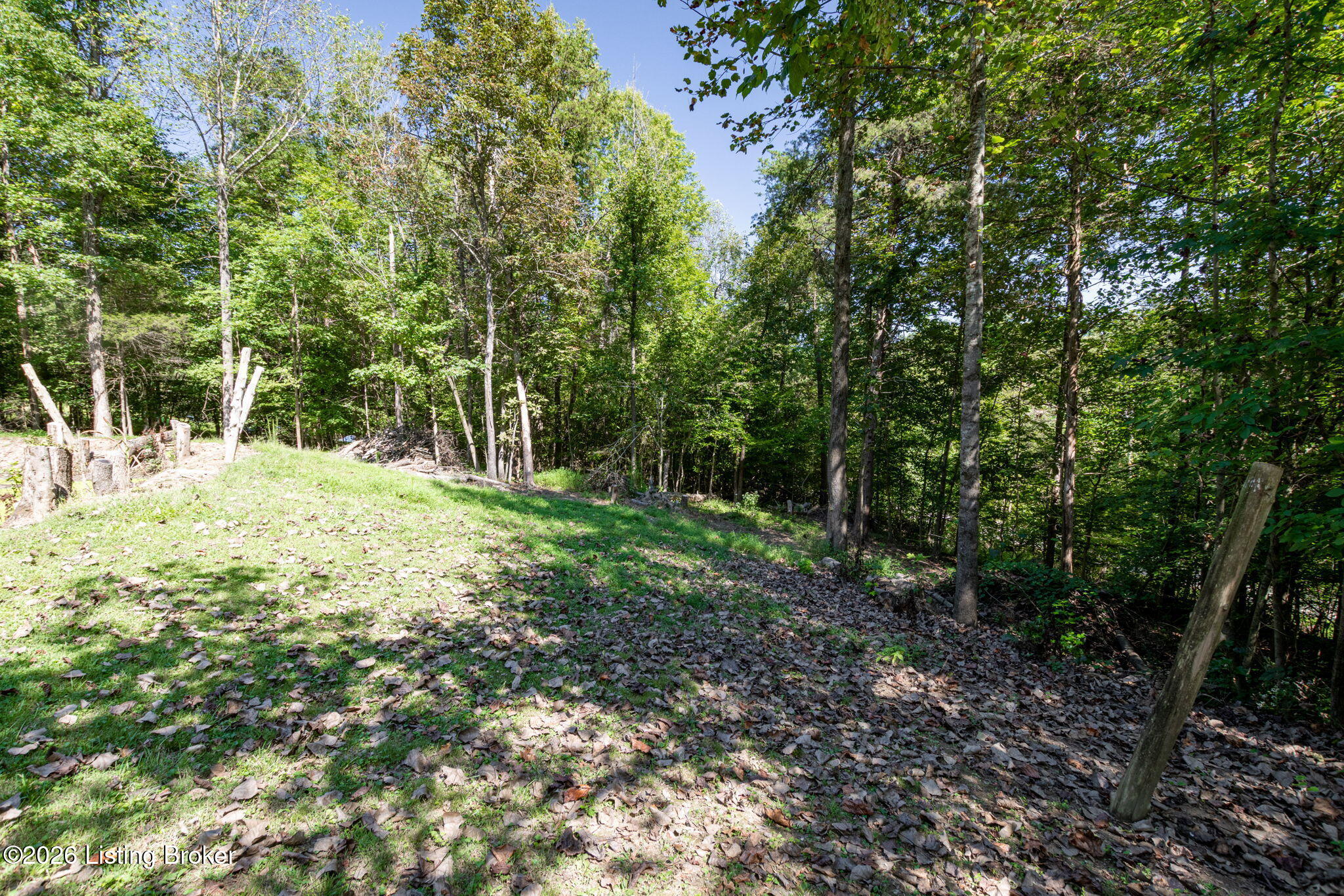 1931 Pitts Point Rd Property Photo 35