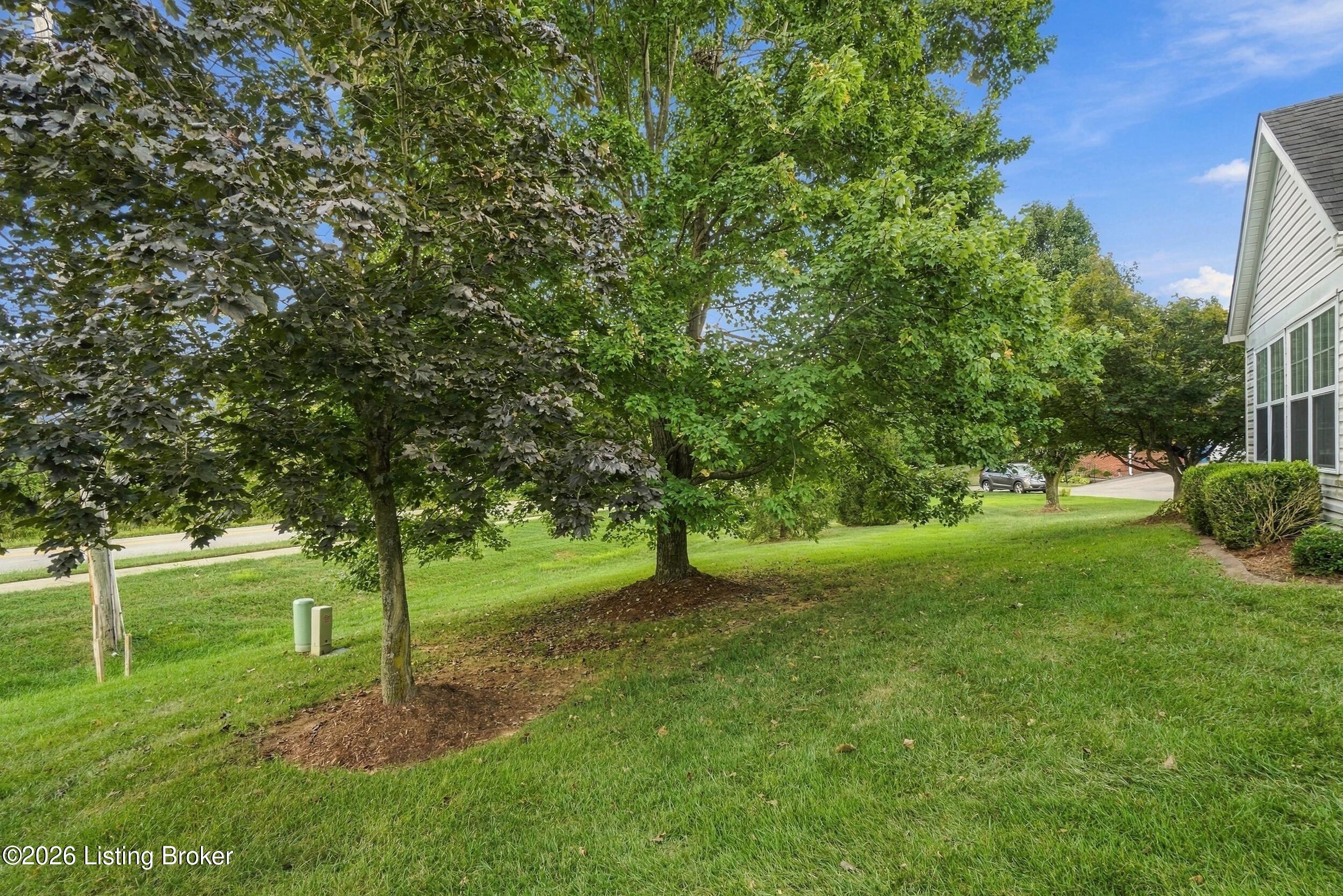 10603 Parkhurst Ct Property Photo 39