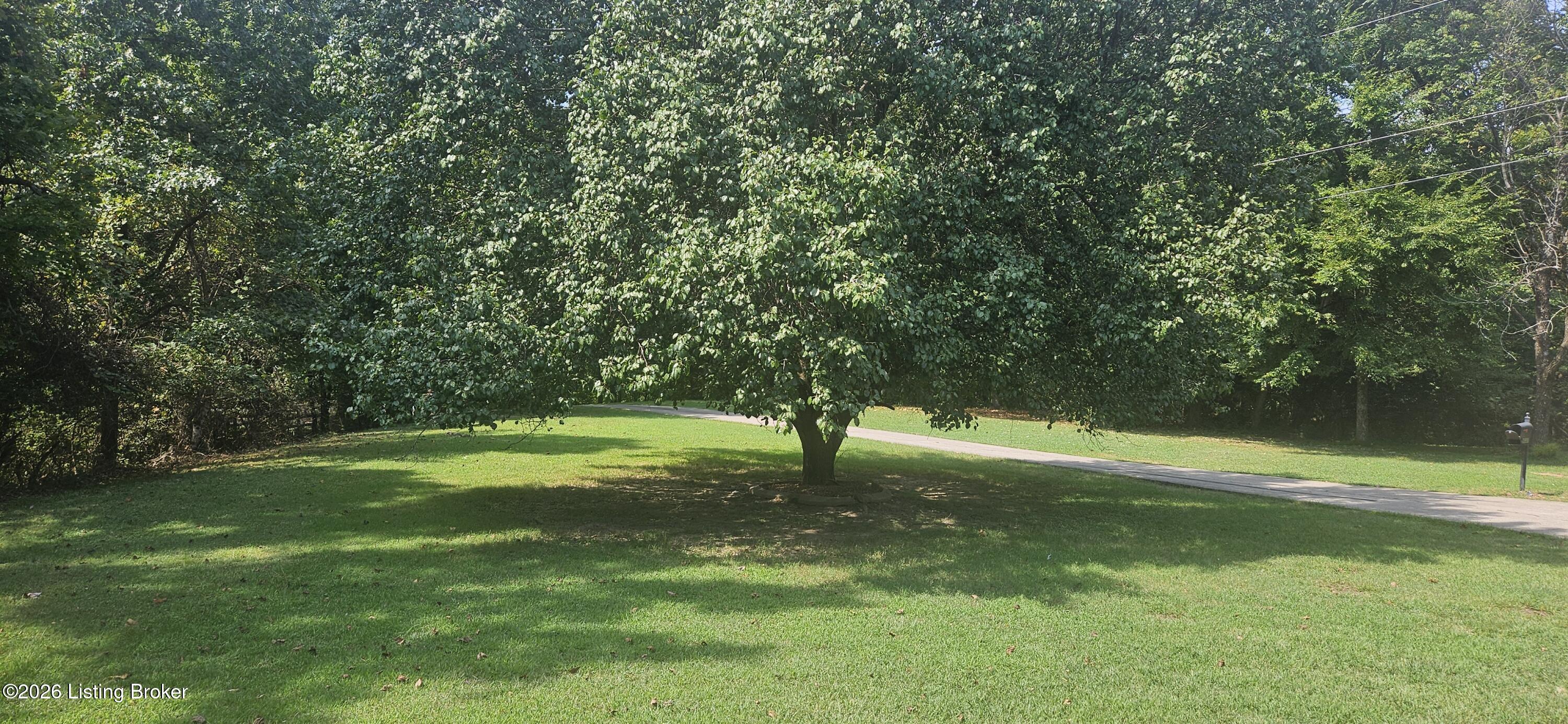 9031 Lakewood Dr Property Photo 1