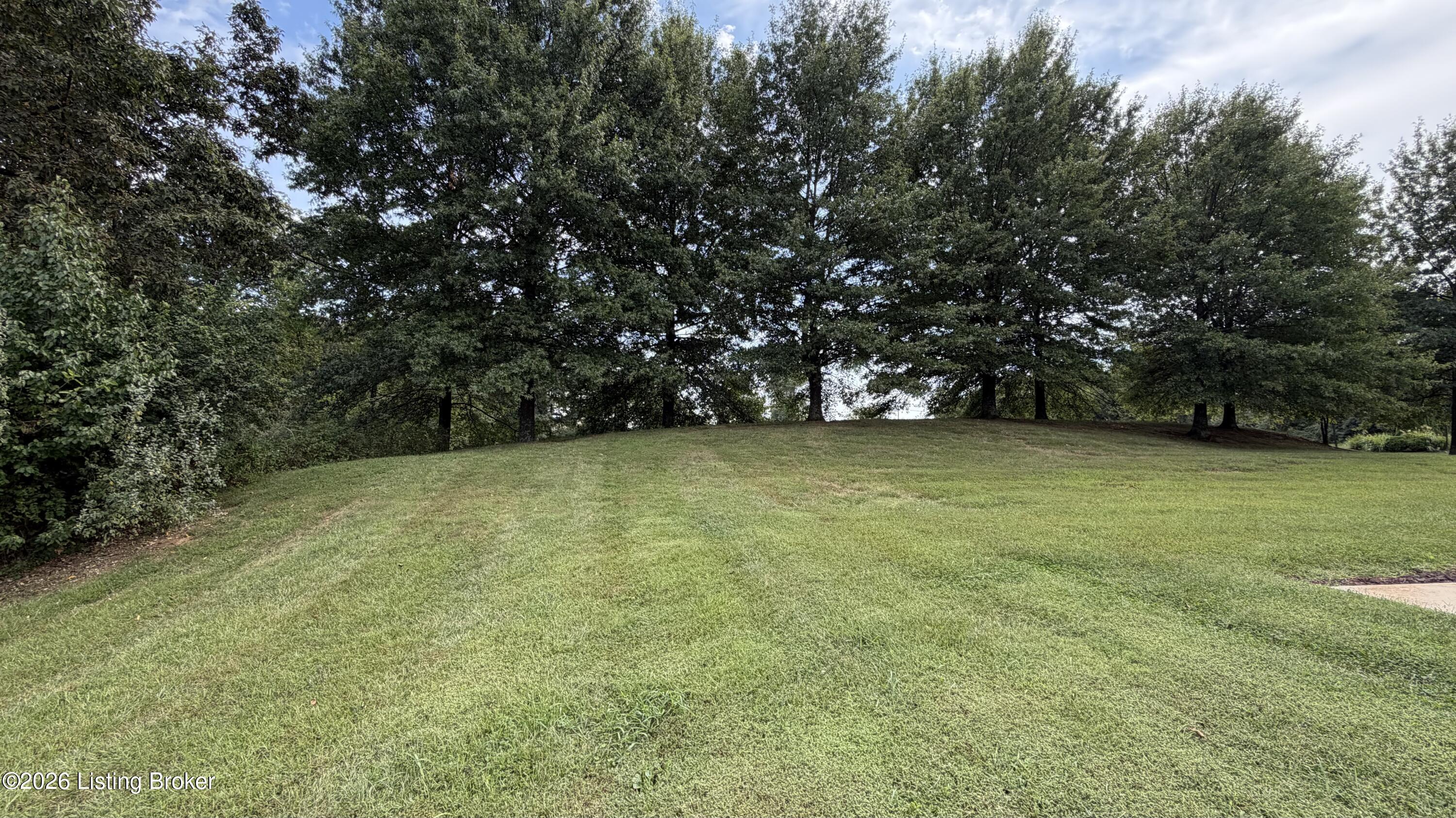 101 Dublin Dr Property Photo 38