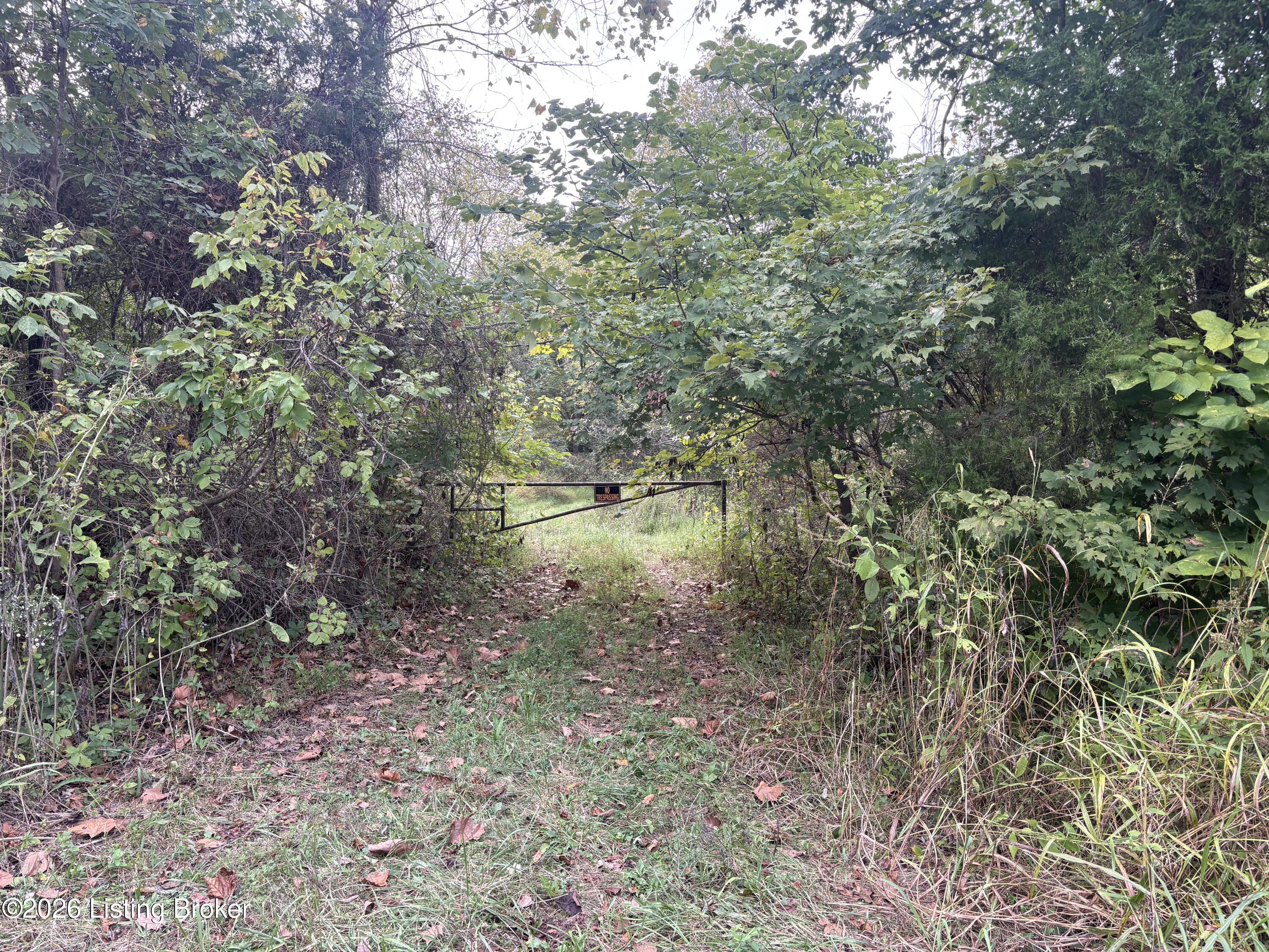 1012 Dowell Hardin Mills Rd Property Photo 6