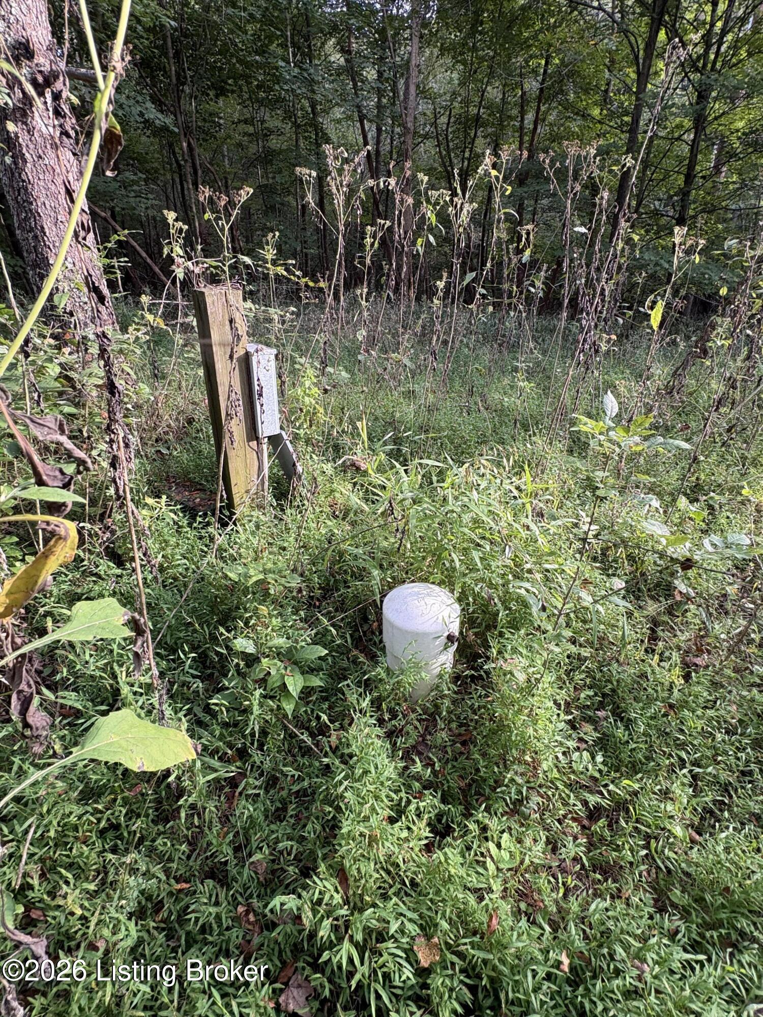 1012 Dowell Hardin Mills Rd Property Photo 35