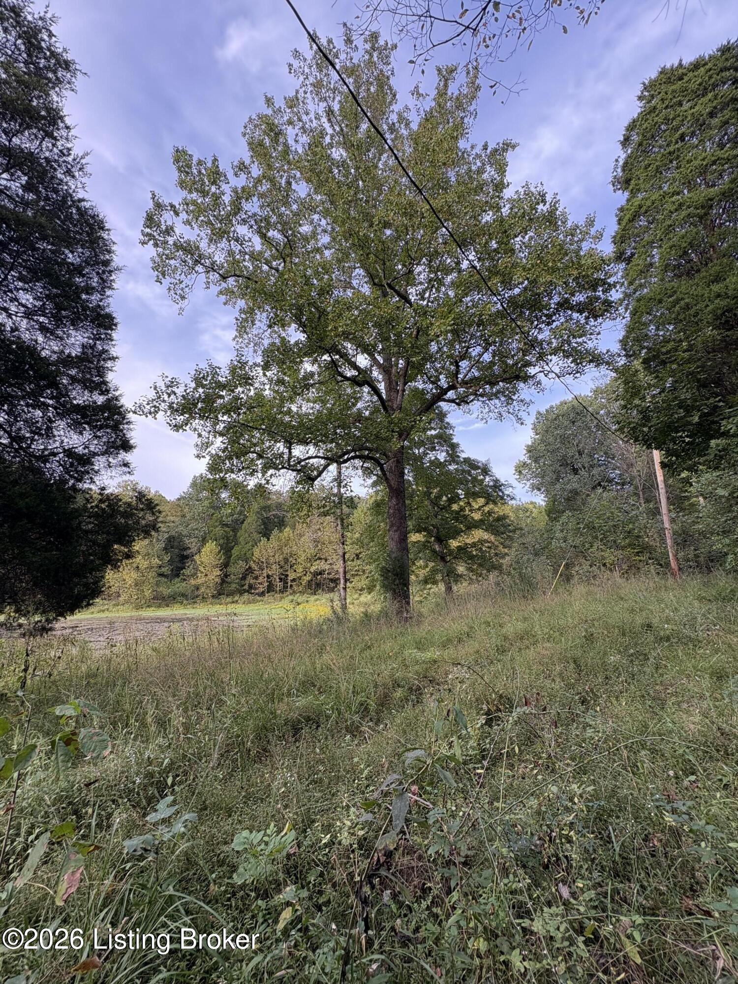 1012 Dowell Hardin Mills Rd Property Photo 36