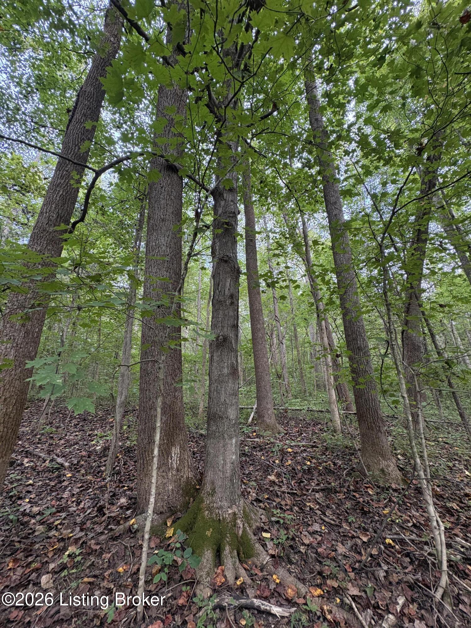 1012 Dowell Hardin Mills Rd Property Photo 37