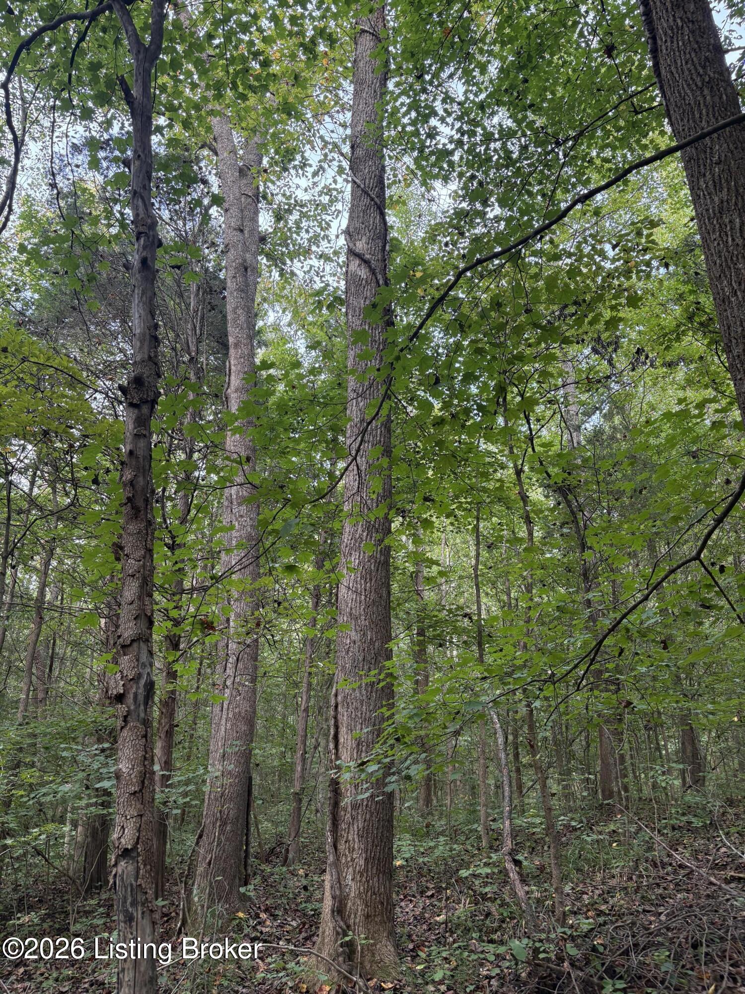 1012 Dowell Hardin Mills Rd Property Photo 38