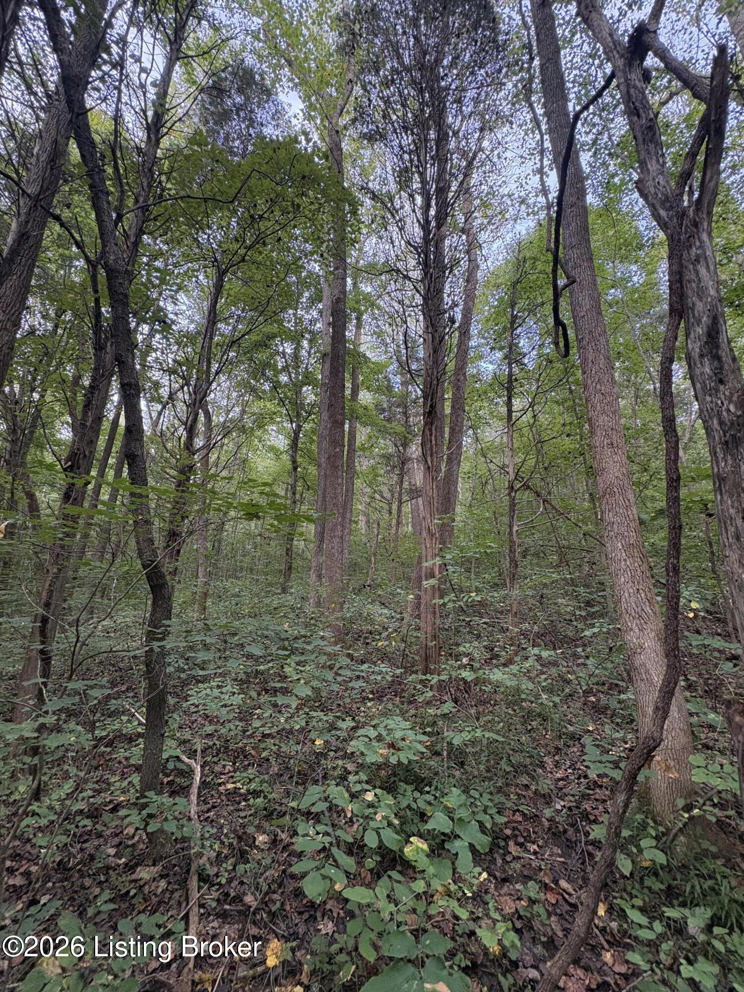 1012 Dowell Hardin Mills Rd Property Photo 39