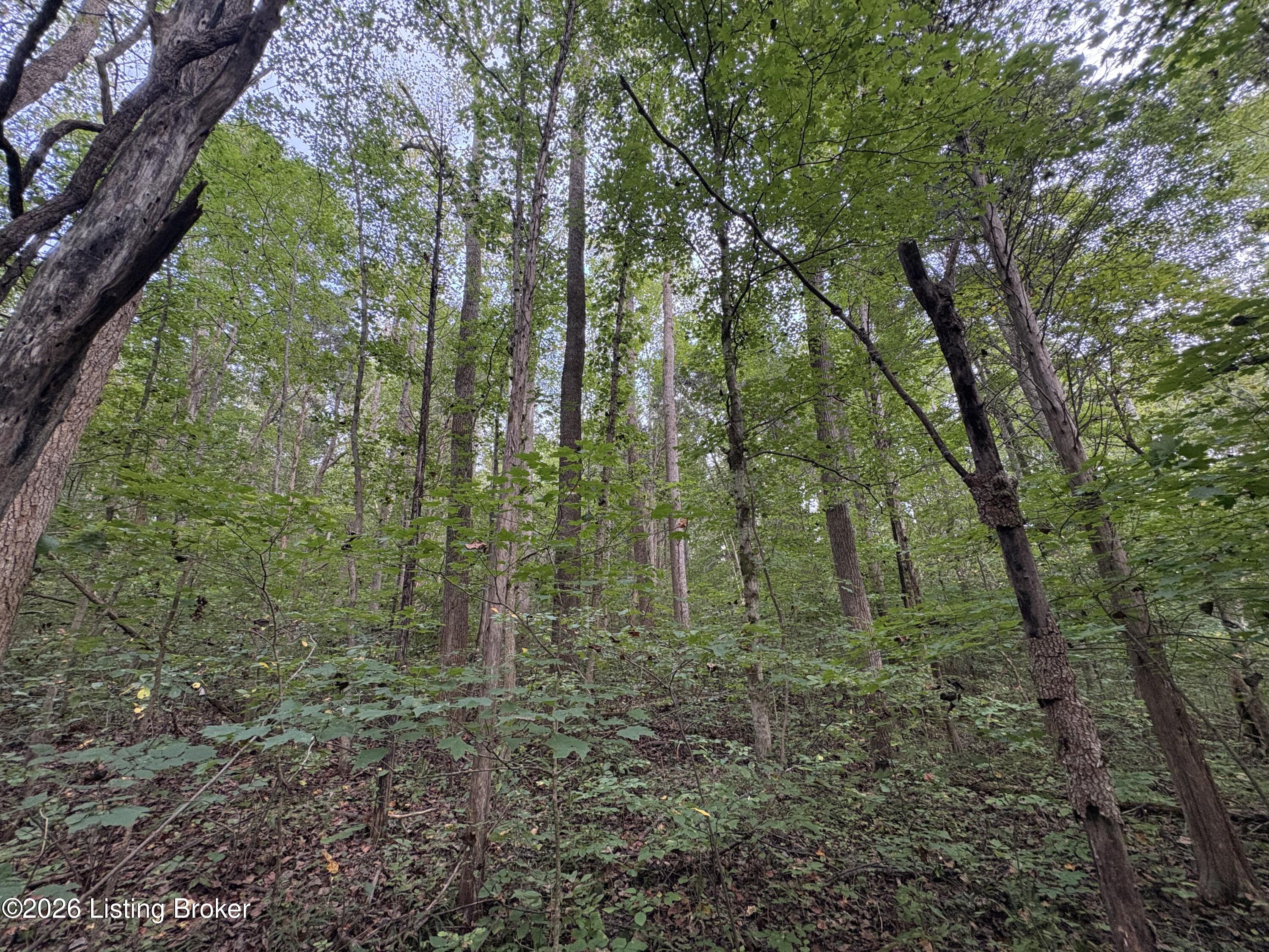 1012 Dowell Hardin Mills Rd Property Photo 40