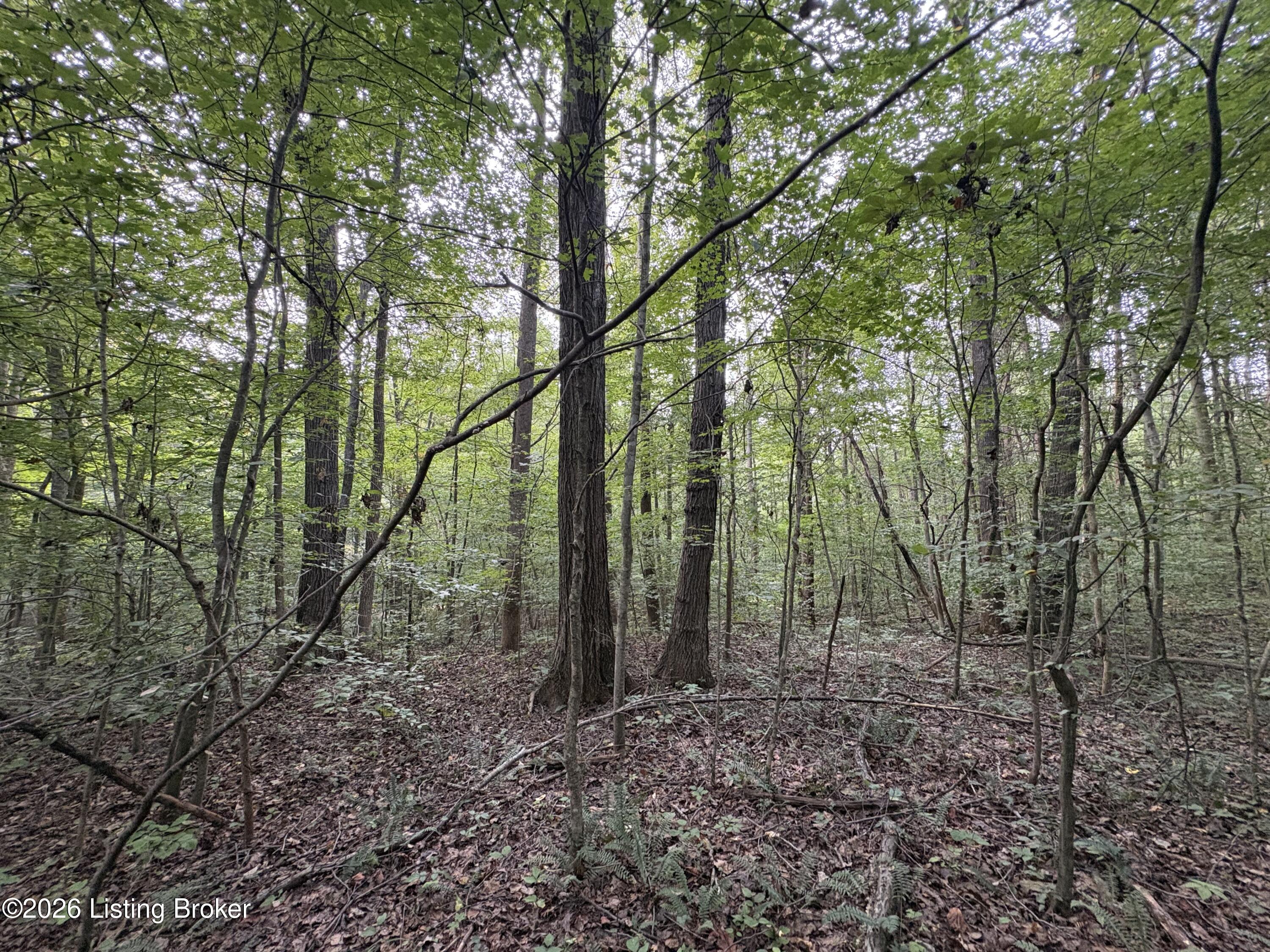1012 Dowell Hardin Mills Rd Property Photo 42