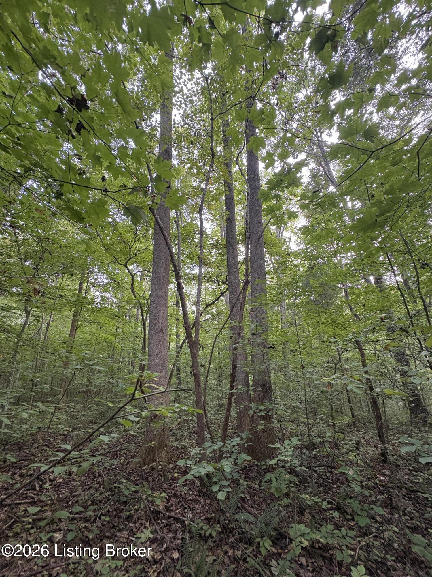 1012 Dowell Hardin Mills Rd Property Photo 43